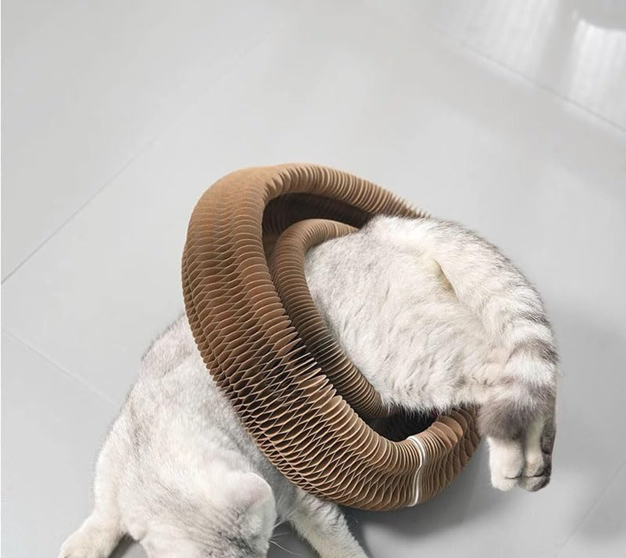 1 Pack Magic Organ Cat Scratching Board, Cardboard Scratcher Pad Accordion for Cats, Foldable Recyclable Comes with Ball image number 2