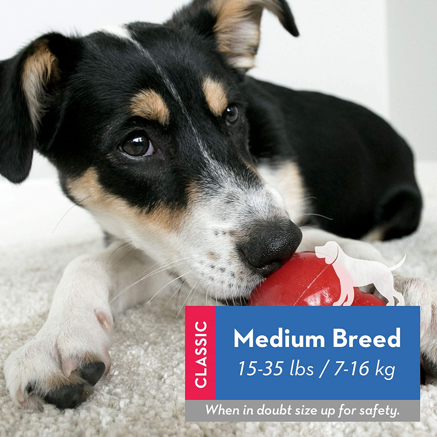 KONG - Classic Dog Toy - Durable Natural Rubber - Fun to Chew, Chase and Fetch - for Medium Dogs image number 2