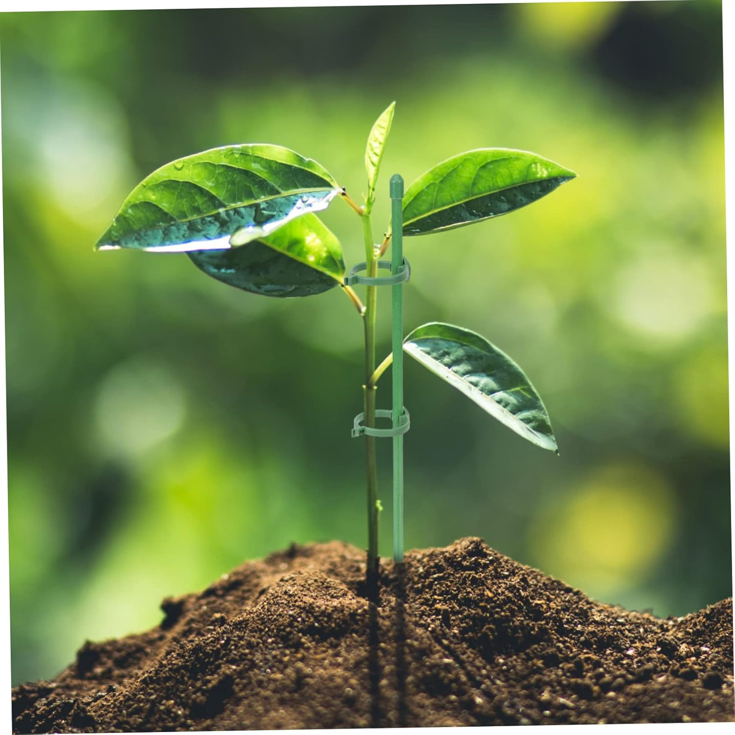 FONDOTIN 10 Pcs Garden Plant Support Stakes Single Stem Plant Stakes and Roses for Gardening image number 3