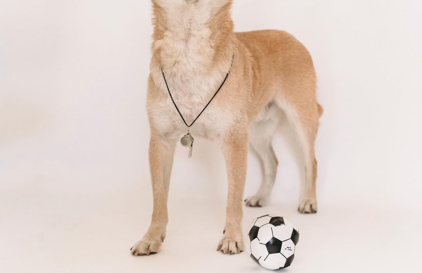 Acme Thunderer 59.5 Nickel Plated Official Referee Whistle