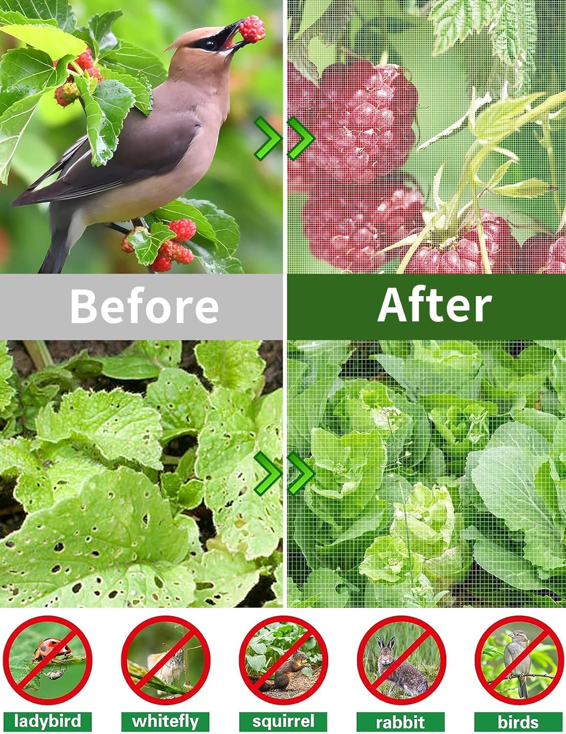 Garden Mesh Barrier, 3MX15M Fine Netting Pest Barrier Bird Net Yard Protection, Nylon Mosquito Plant Covers, Garden Net for Vegetables Flowers and Fruit Trees image number 4