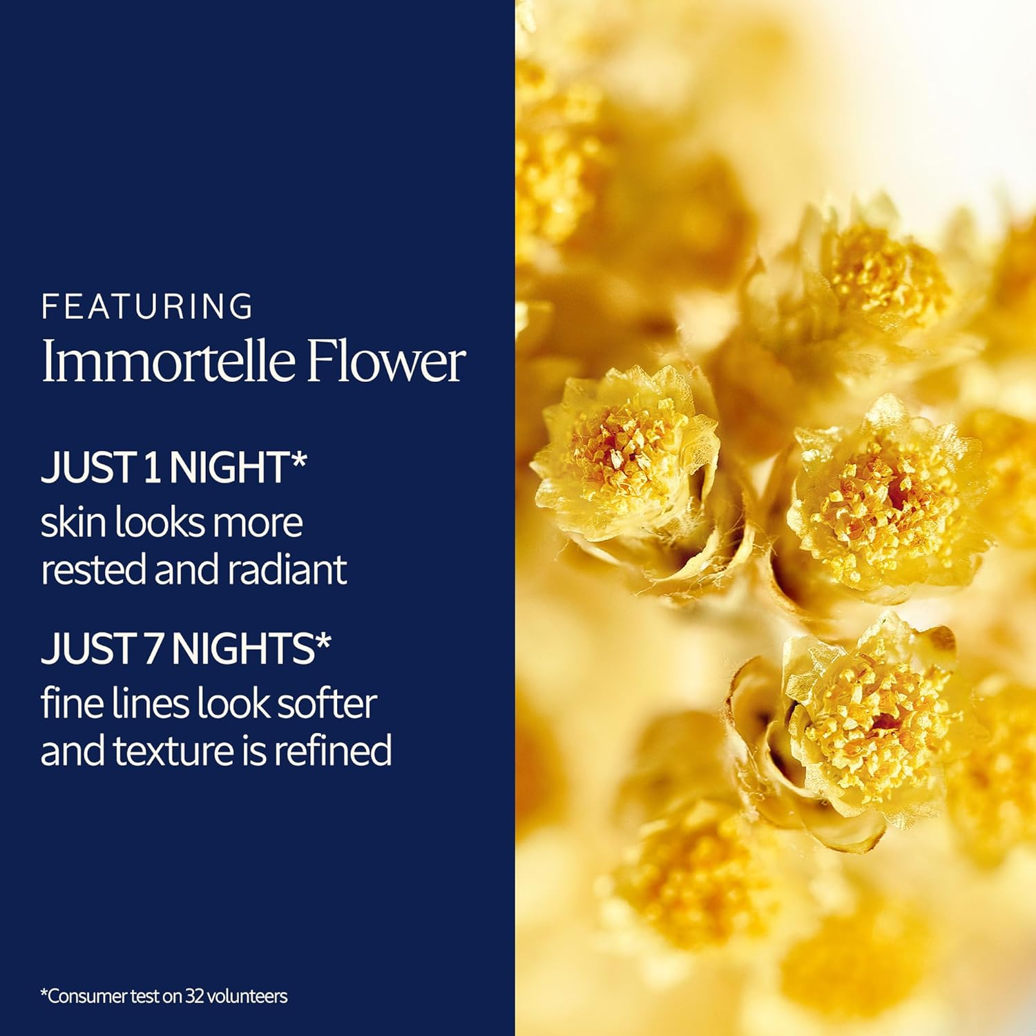 L'OCCITANE Immortelle Overnight Reset Oil-In-Serum, 1.6 Oz. (27OR050I21) image number 5