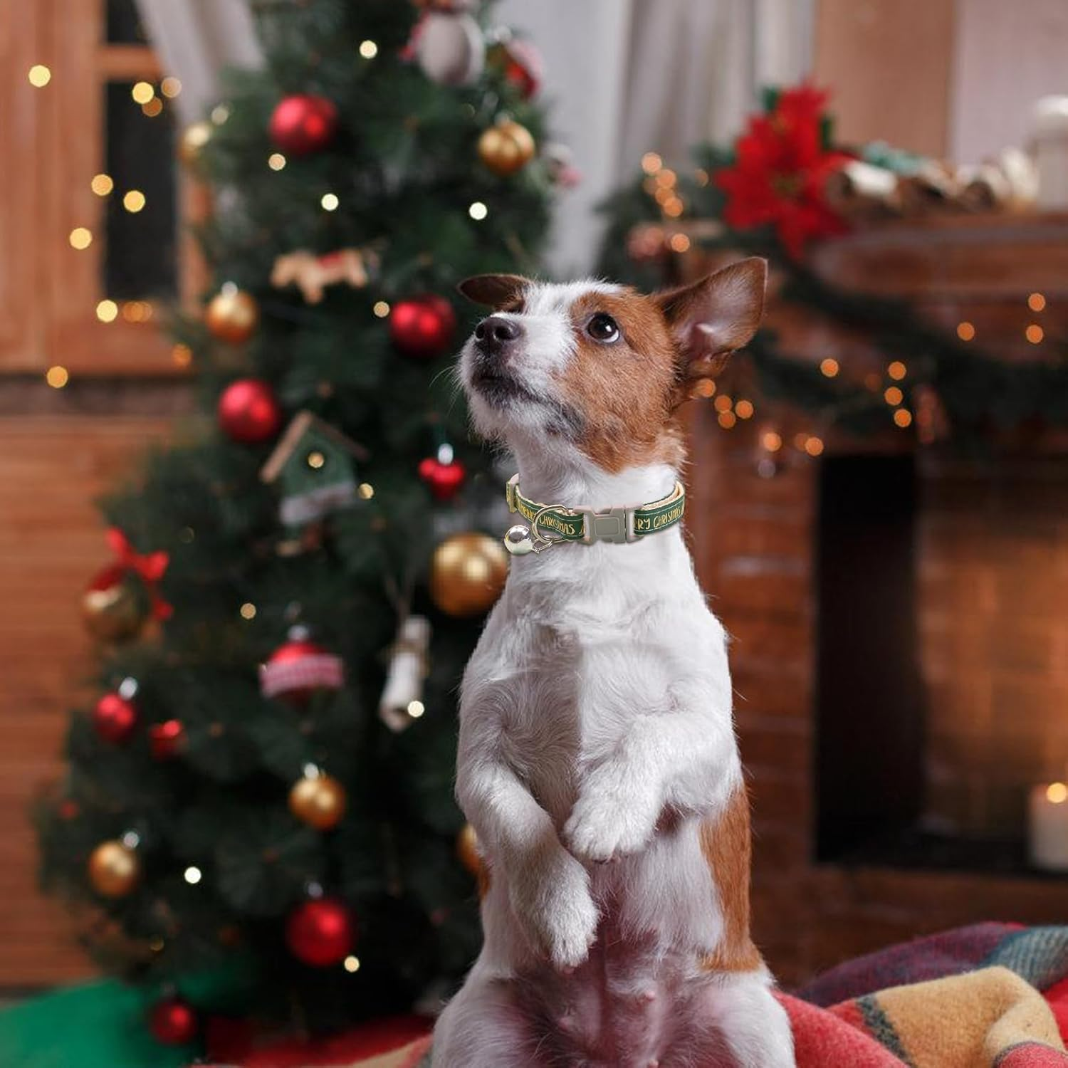 2 Pcs Christmas Dog Collar with a Bell, Red Green Christmas Adjustable Pet Collar 19-32Cm, Comfortable Cotton Durable Breakaway Dog Collar for Small Medium Dogs, Christmas Dog Gift (Gold Print) image number 3