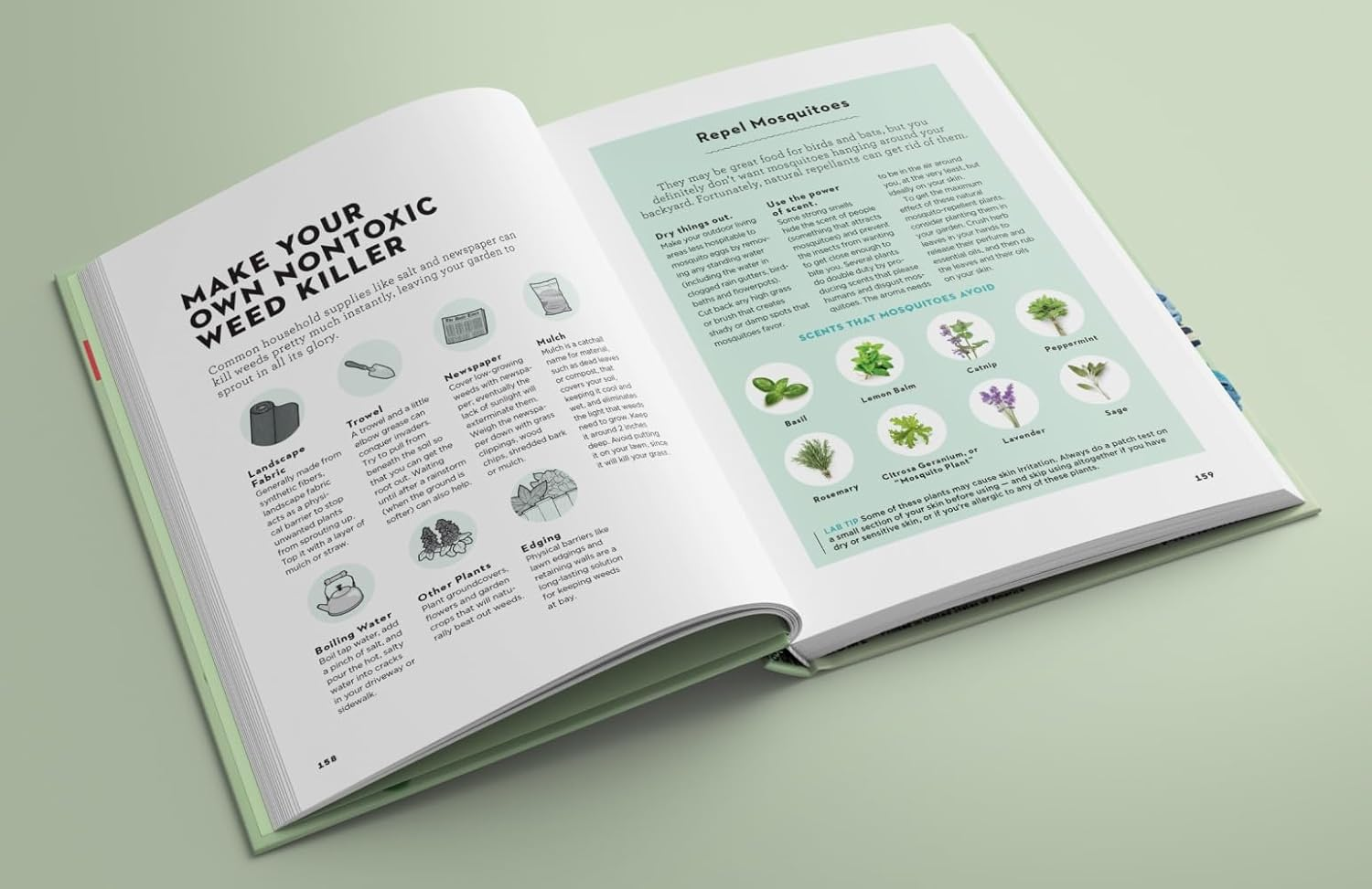 Good Housekeeping Home Skills: Master Your Domain with Practical Solutions to Everyday Challenges image number 1