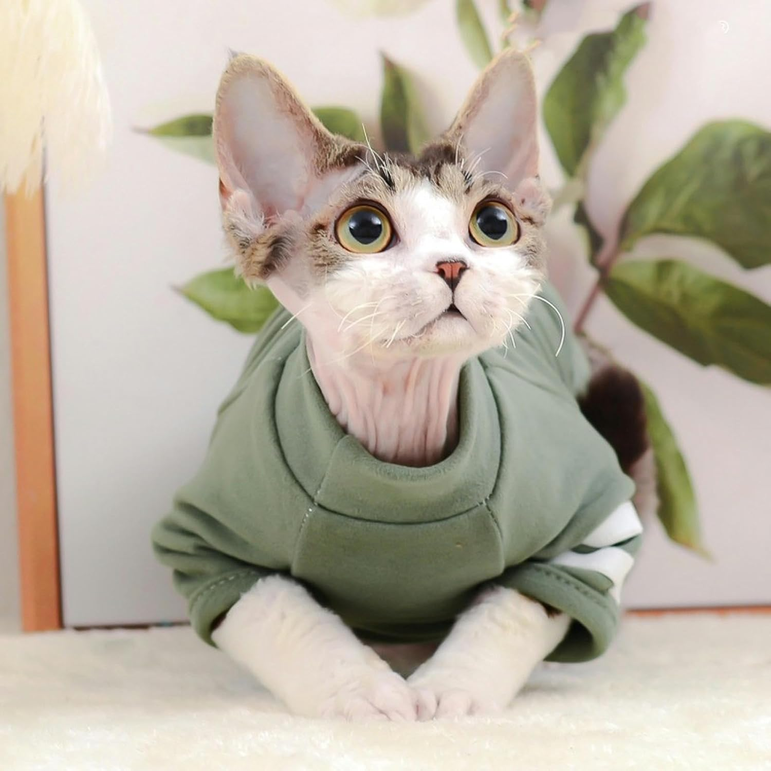 IUOUTG Hairless Cats Clothes Breathable Basic Cat T-Shirts Spring and Summer High Elasticity Kitten Shirts round Collar Cat Vest Clothes for Cats Small Dogs image number 4