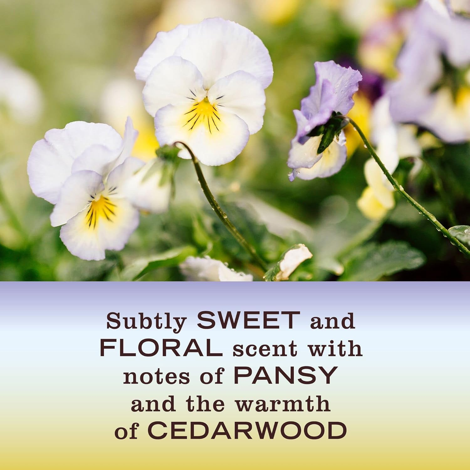 Mrs. Meyer'S Hand Soap, Made with Essential Oils, Biodegradable Formula, Compassion Flower, 12.5 Fl. Oz - Pack of 3 image number 2