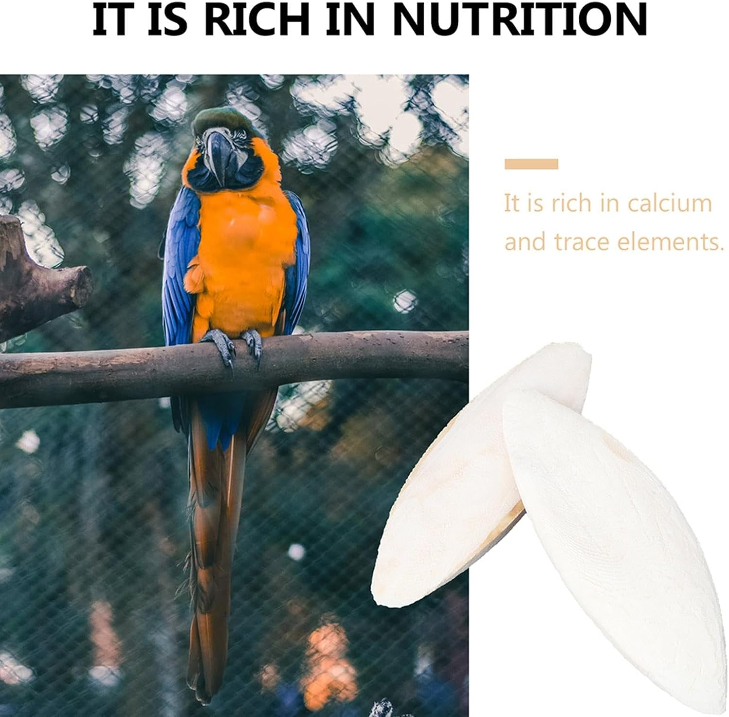 Parrot Bite Toy, Nymphin Feed Shaving Toy, Natural Cute Bone Restraint Tool for Small Parrots and Birds, Hope Parrot Bite Bone, Cute for Birds, Badge, Nymphen Sit image number 2