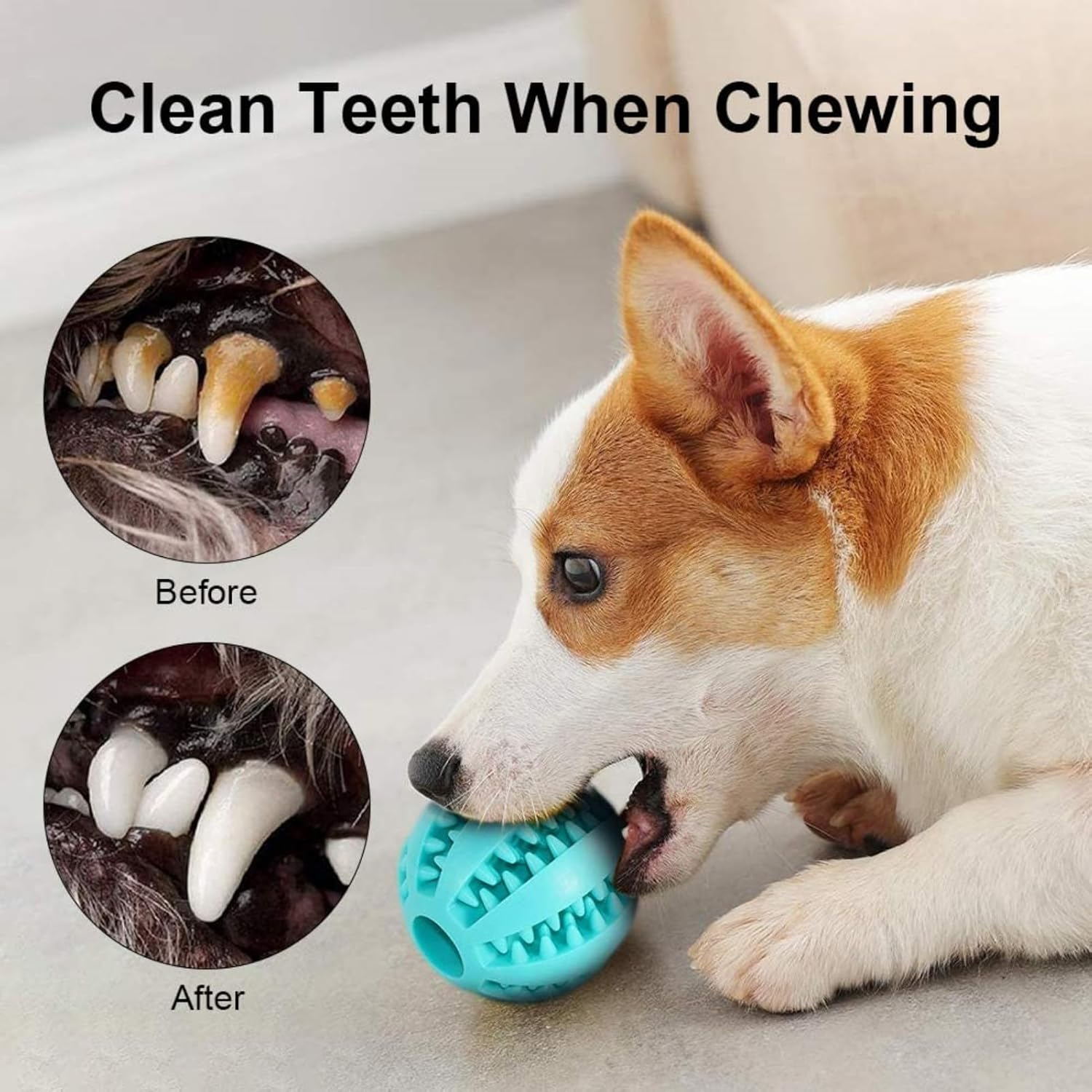 CHUANGOU Pack of 2 Dog Toy Ball, Chew Toys Made of Natural Rubber, Dog Ball with Dental Care Function, Natural Rubber Dog Feeder Ball, Bite Resistant Dog Toy