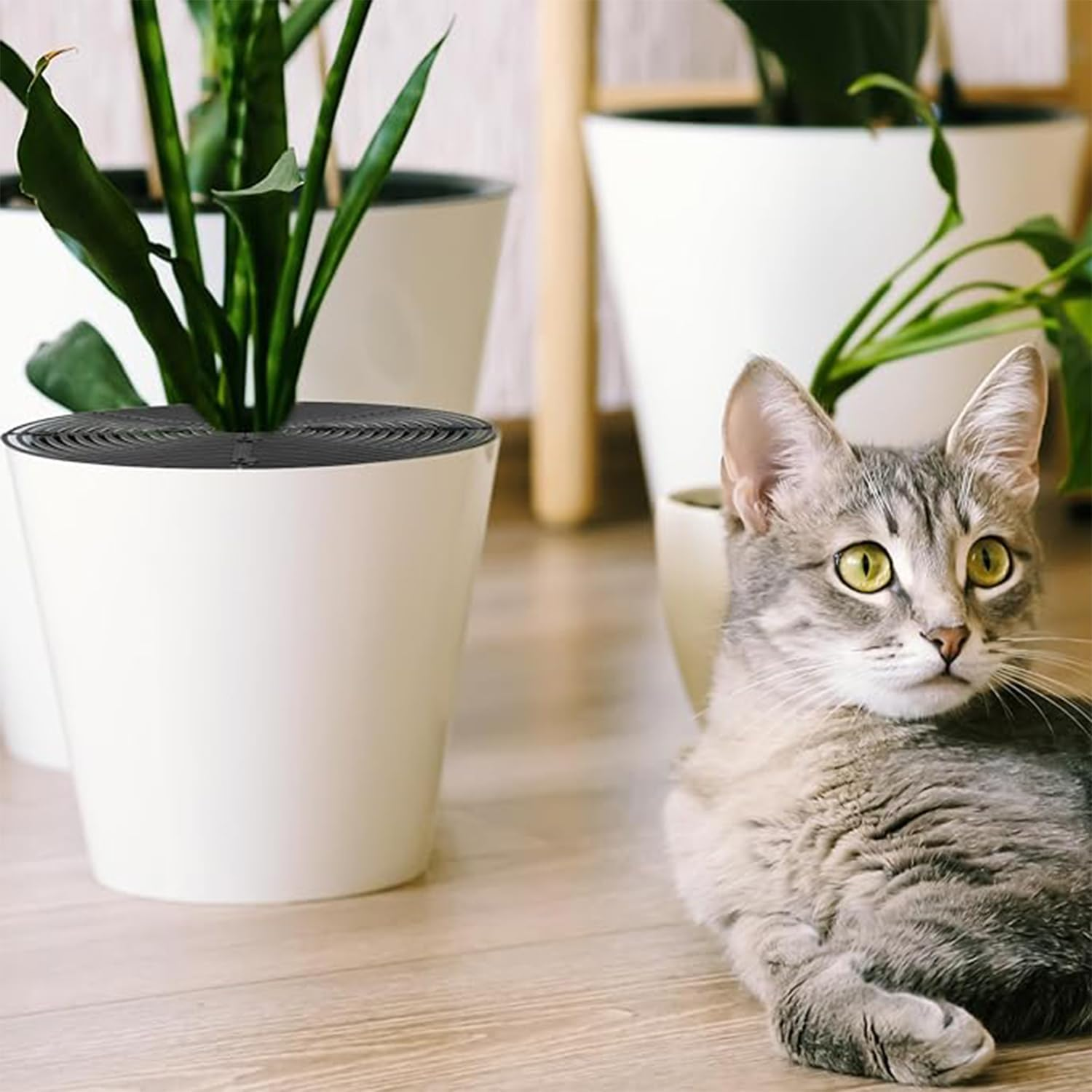 Roczential 3Pcs Plastic Grid Plant Pot Covers with Stake, Breathable Leak-Proof Plant Pot Protector for Indoor/Outdoor Potted Plants, Soil Protector Grid Cover