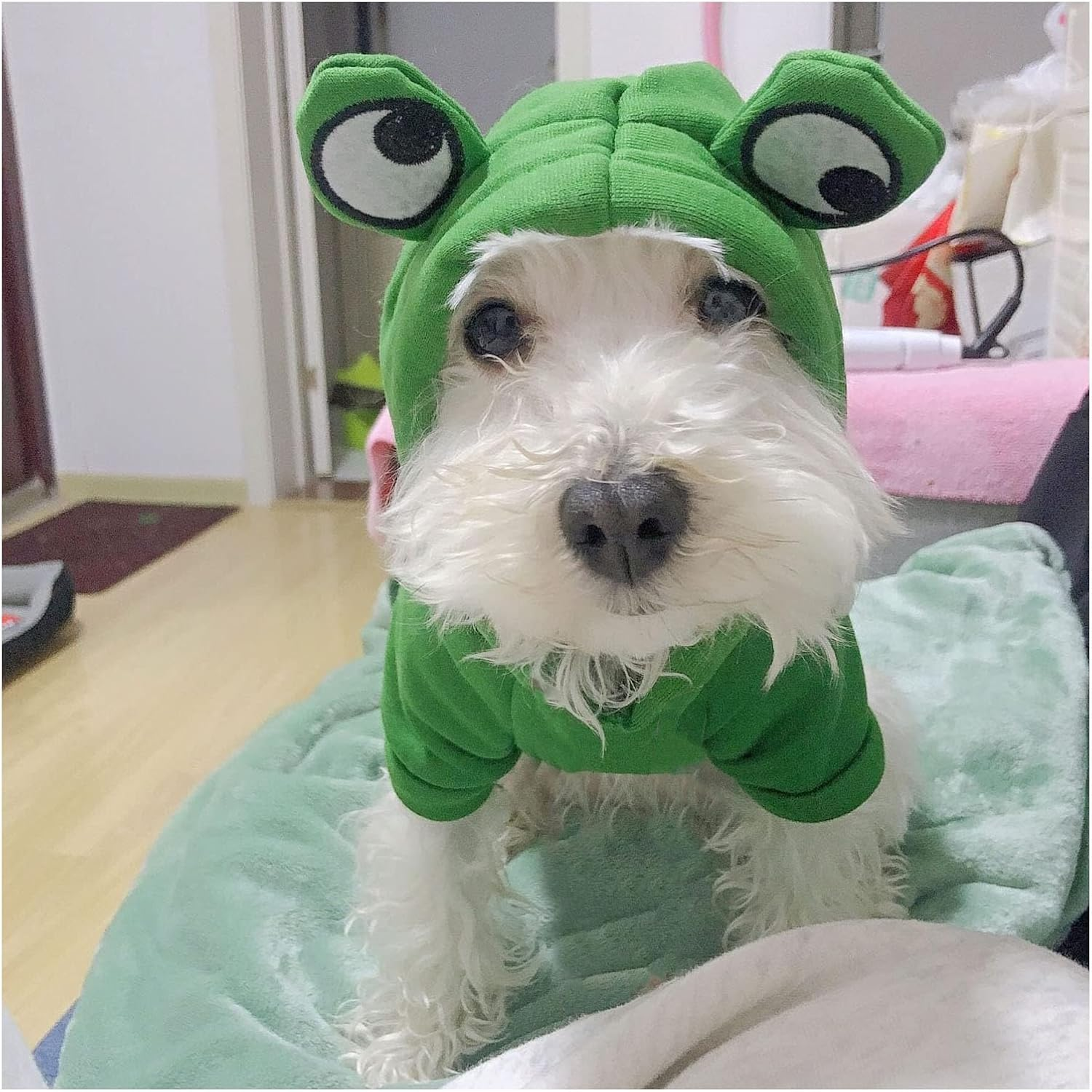Pet Clothes, Dogs Hooded Sweatshirt Fruit Warm Coat Sweater Cold Weather Costume for Puppy Small Medium Large Dog (XXL, Green Frog) image number 5