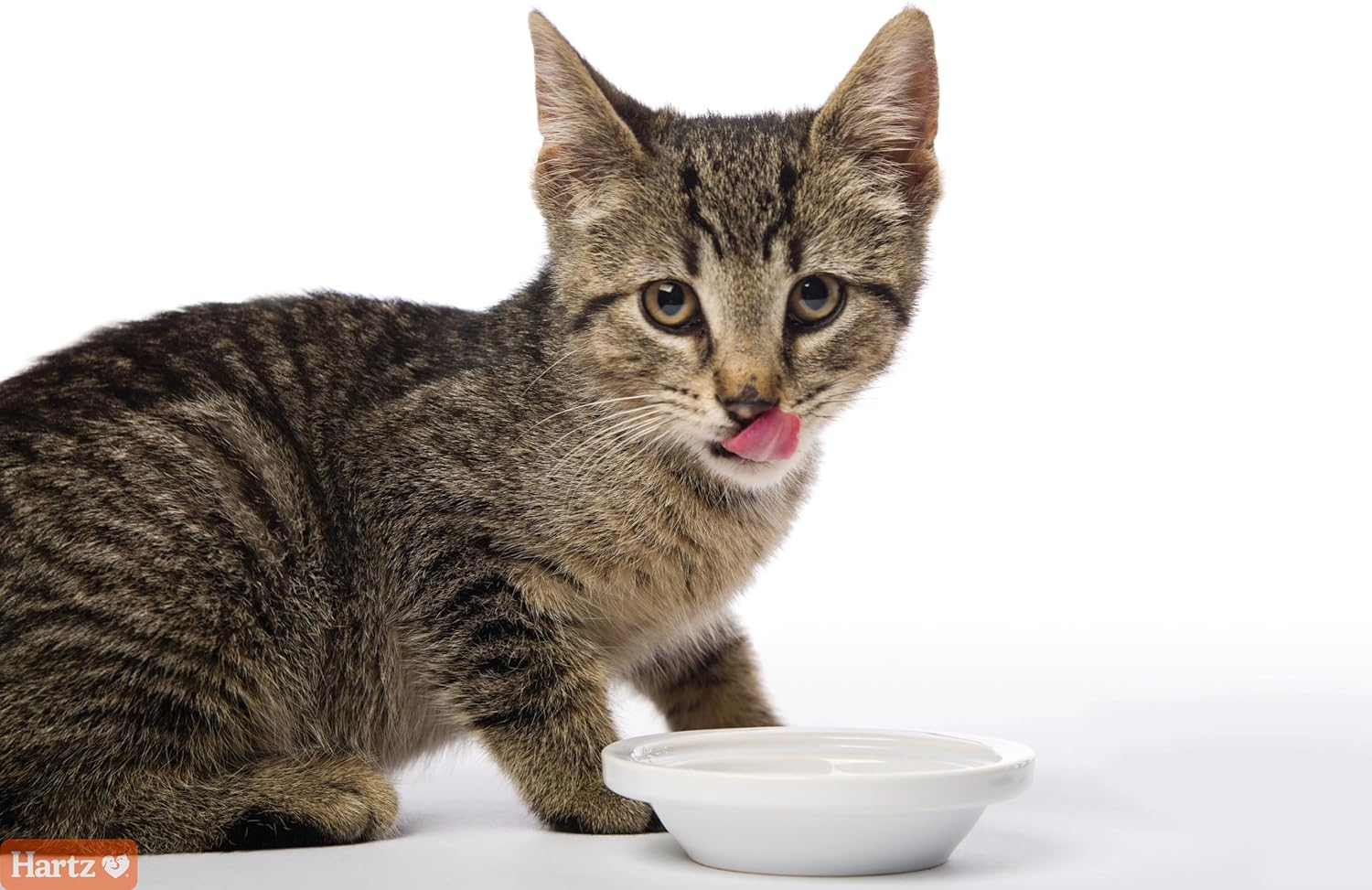 Hartz Hairball Remedy plus Paste 70G image number 4