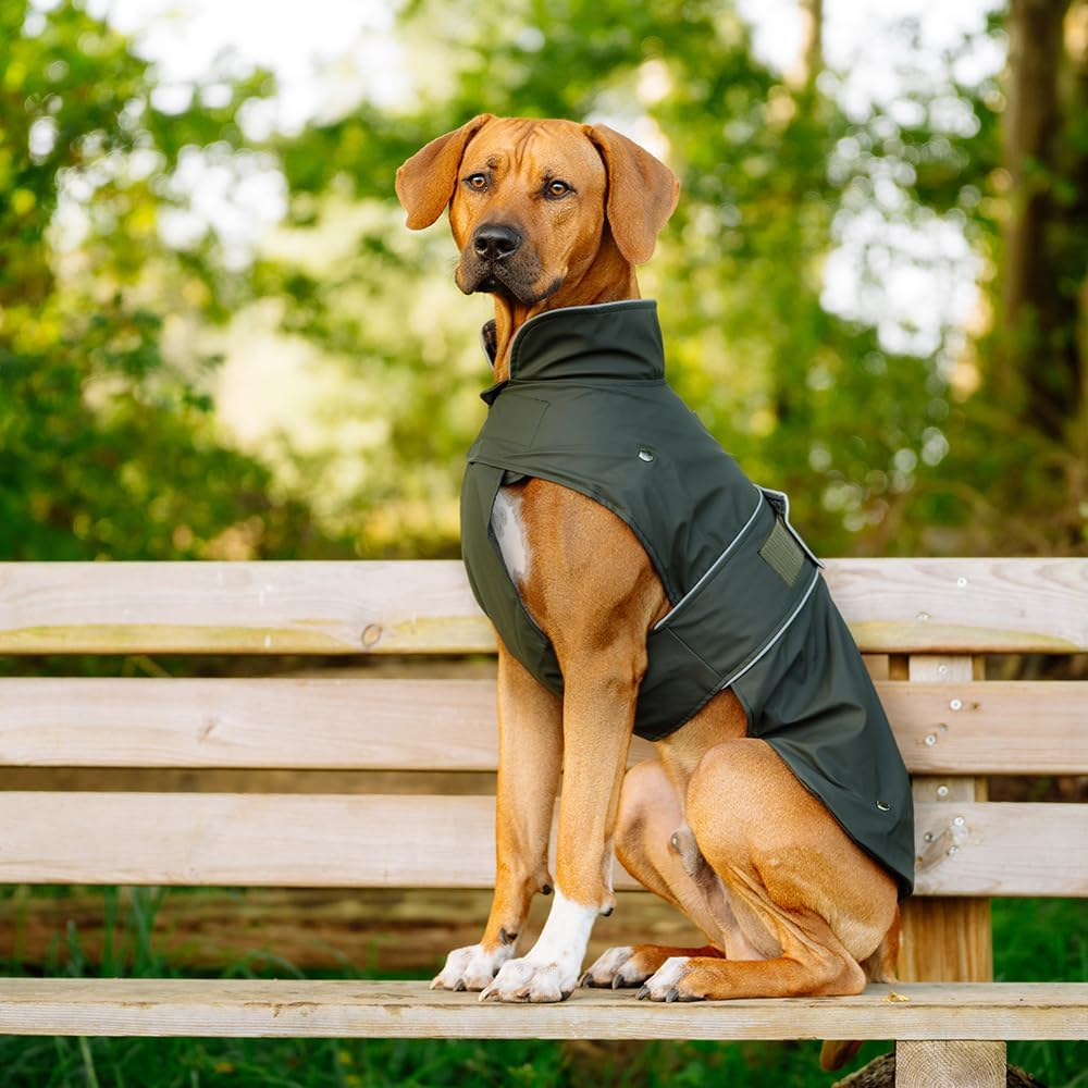 Nobby Sela Dog Coat Dark Green 44 Cm image number 3