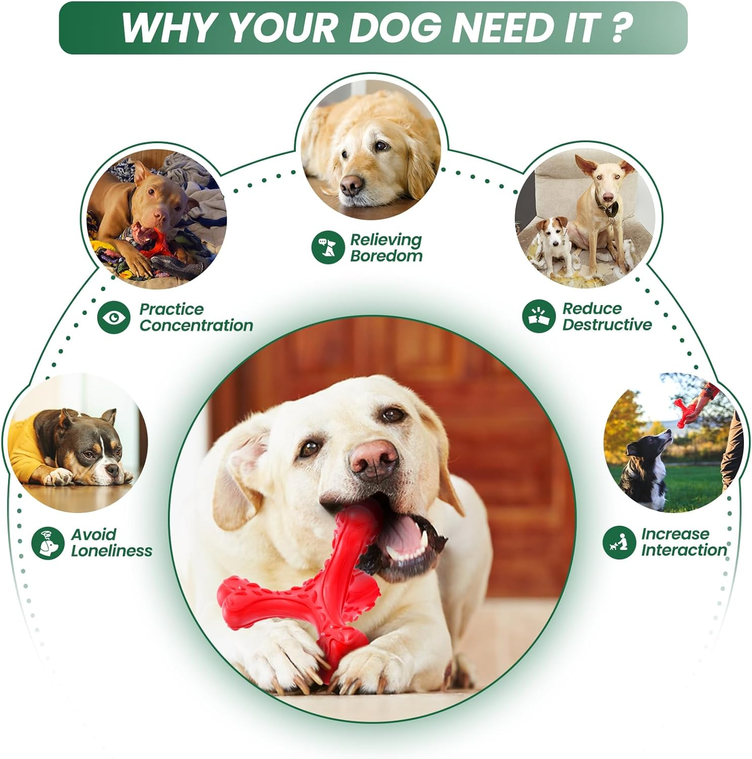 CVALIN Chew Toy for Aggressive Chewers, Large Breeds, Indestructible Bone Toy, Durable Cleaning Toothbrush, Natural Rubber Dog Toy image number 2