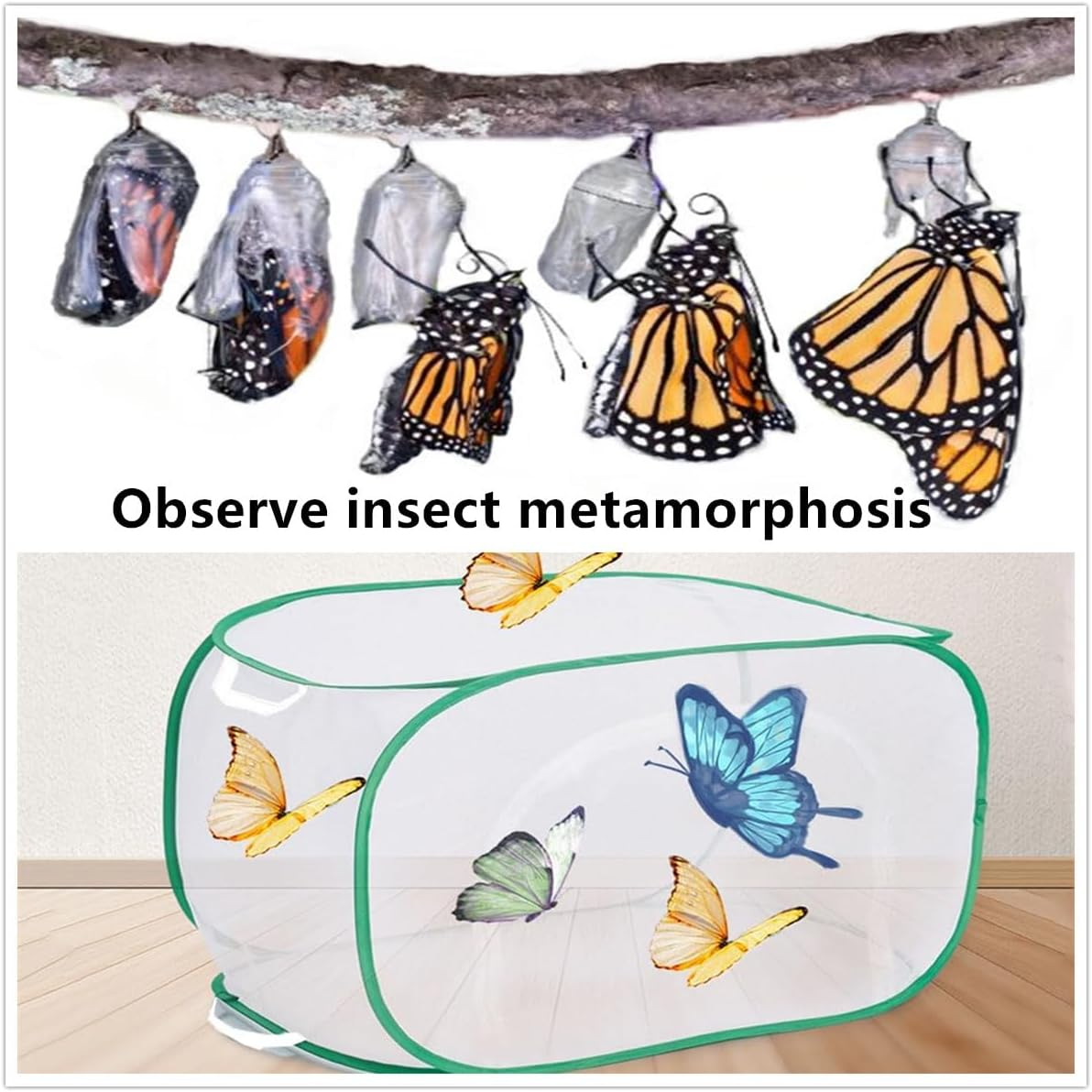 Outdoor Pop-Up Insect Butterfly Habitat Cage,Collapsible Mesh Cage Terrarium with Clear View,Insect Enclosure,40&times;40&times;60Cm image number 5