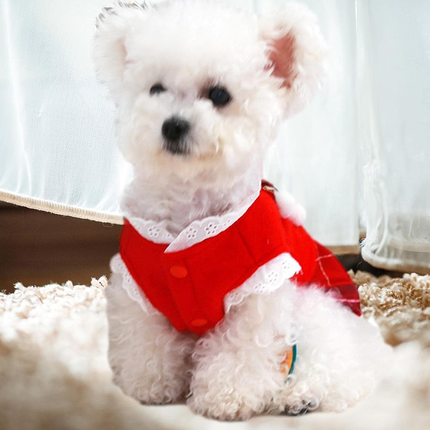 Christmas Pet Dress - Small Dog Costume for Christmas,Dog Dress for Christmas, Pet Clothes for Small Dogs Cats Puppy Kitten, Festival Dog Costume Skirt Outfit image number 1