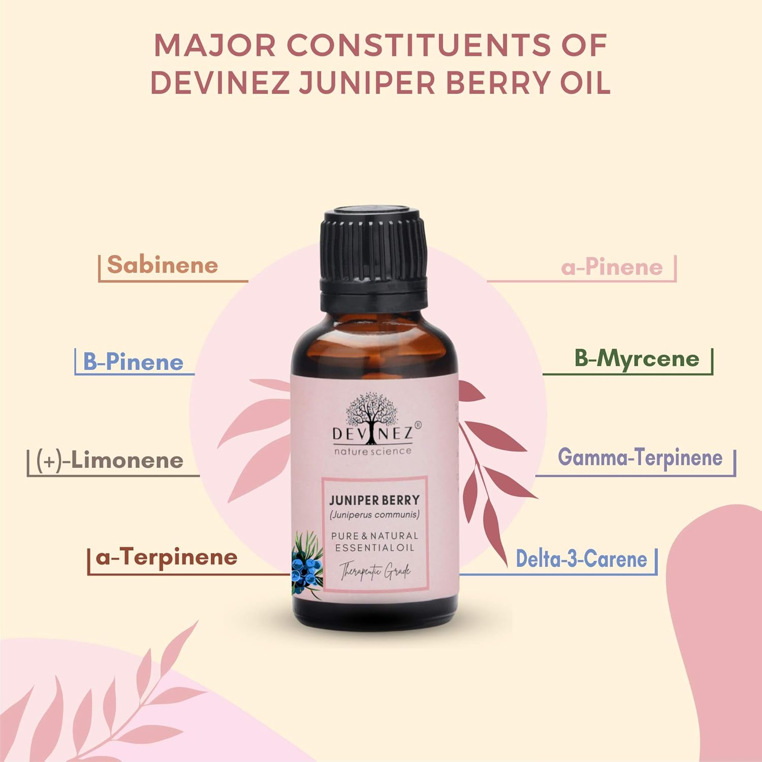 Devinez Juniper Berry Essential Oil 30Ml - Pure, Natural, Undiluted & Therapeutic Grade for Skin Care, Scars, Acne, anti Aging, Natural Skin Toner, Natural Antiseptic, Improves Hair and Scalp Health image number 4