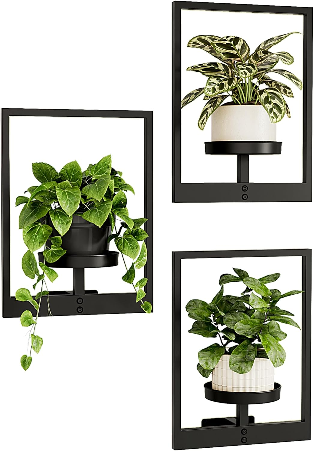 Bamworld Picture Frame Wall Plant Holder Window Plant Shelf Wall Decor Wall Hanging Planters Plant Hanger Outdoor Wall-Mounted Plant Rack Black Metal 3 Pack (Patent Design) image number 3
