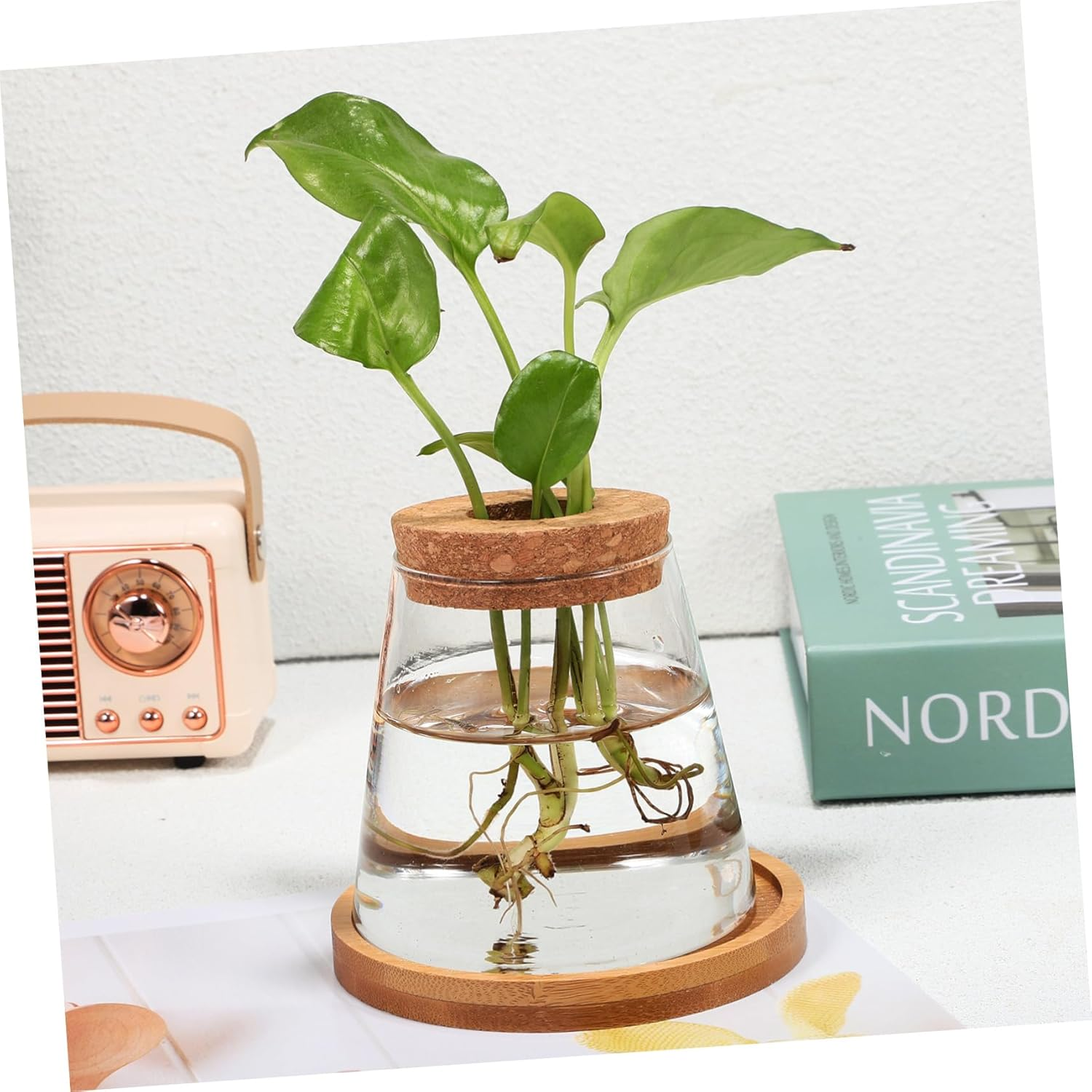 2Pcs Hydroponic Planter Glass Propagation Station with Bamboo Stand and Perforated Wooden Stopper 330Ml for Indoor Water Planting and Terrarium Gardening image number 4