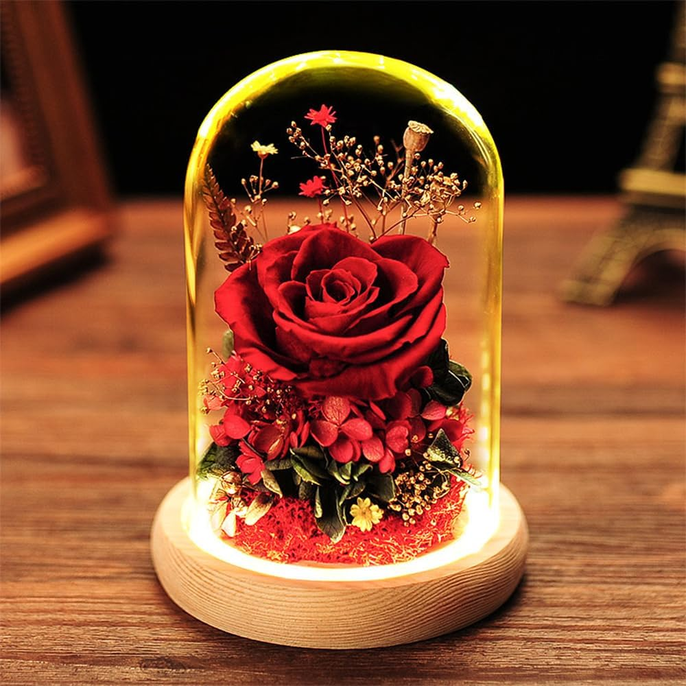 Fizozi-Eternal Rose Gift Set in Glass Dome - Red | Preserved Rose with LED Light | Valentine'S Day Her | Romantic Home Decor | Long-Lasting Beauty (Red)