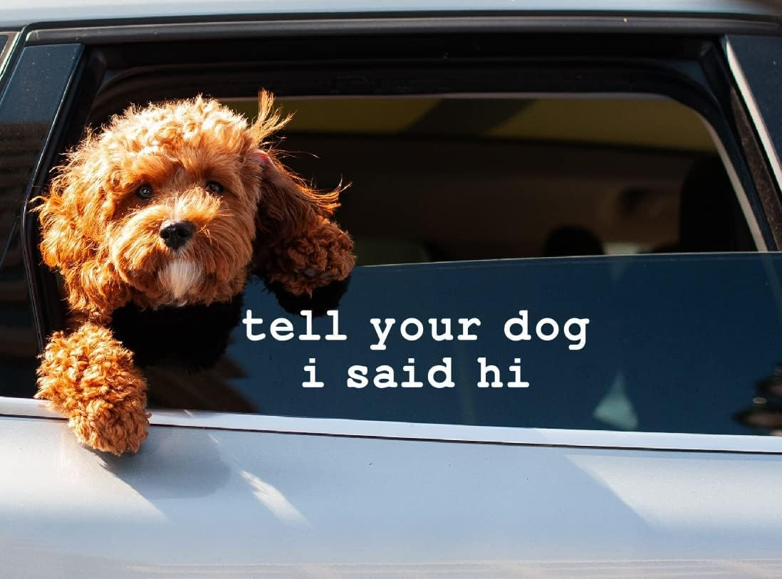 Tell Your Dog I Said Hi Sticker for Cars Funny Car Vinyl Bumper Sticker Window Decal (18Cm, White) image number 1