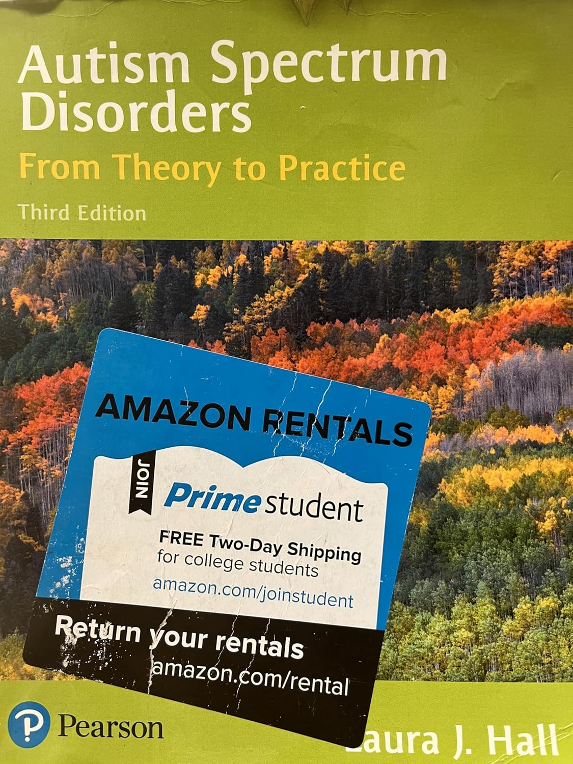 Autism Spectrum Disorders: from Theory to Practice image number 3