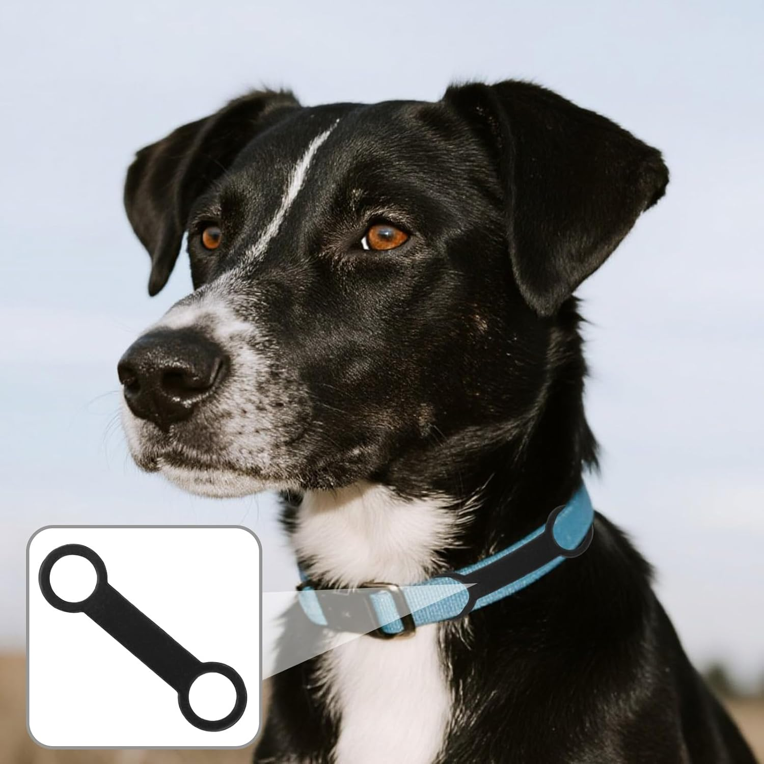 6Pcs Silicone Dog Tags, 3 Sizes Slide on Dog Tags Personalized Puppy Name ID Pet Supplies for Pets Collar (Black) image number 3