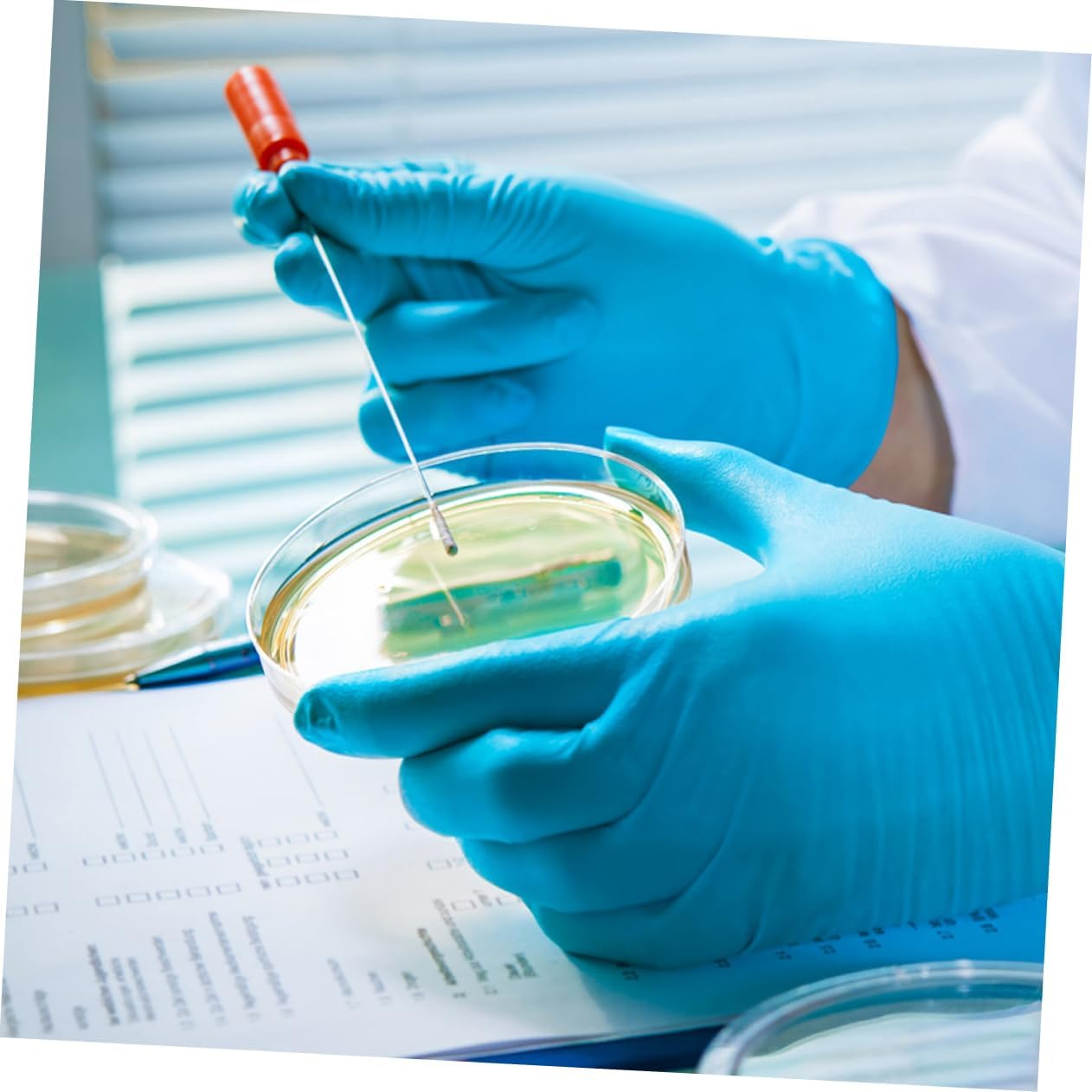 STOBOK 10Pcs Culture Plate Chemistry Petri Dish Science Petri Dishes Culture Dish Petri Dishes with Lid Culture Petri Dishes Tissue Culture Dish Plastic Reaction Plate with Cover image number 4