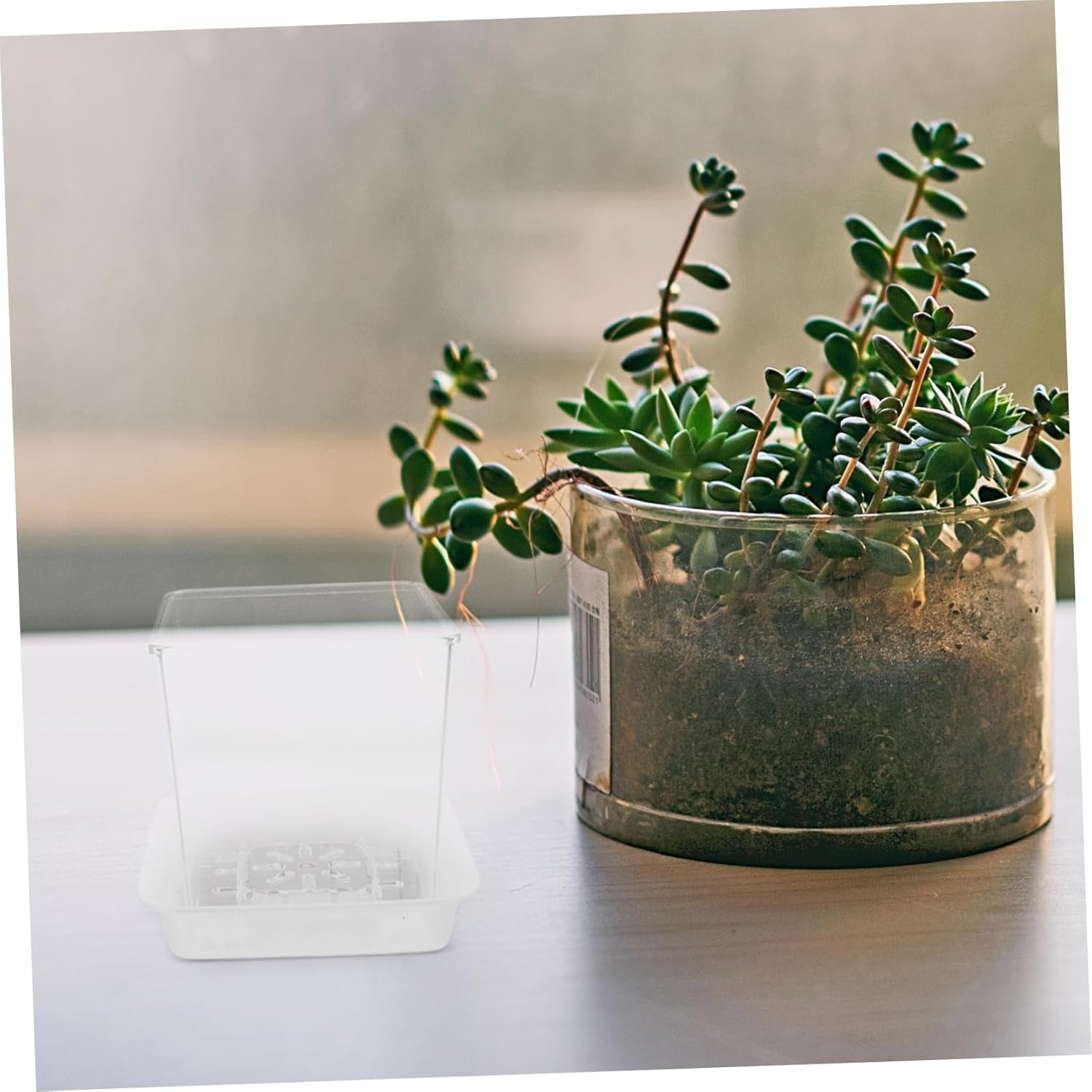 NAMOARLY Interactive Mini Plant Pots Hydroponic Design for Root Growth Observation Boys and Girls Seedling Pots Planters for Indoor Gardening Educational Planters image number 2