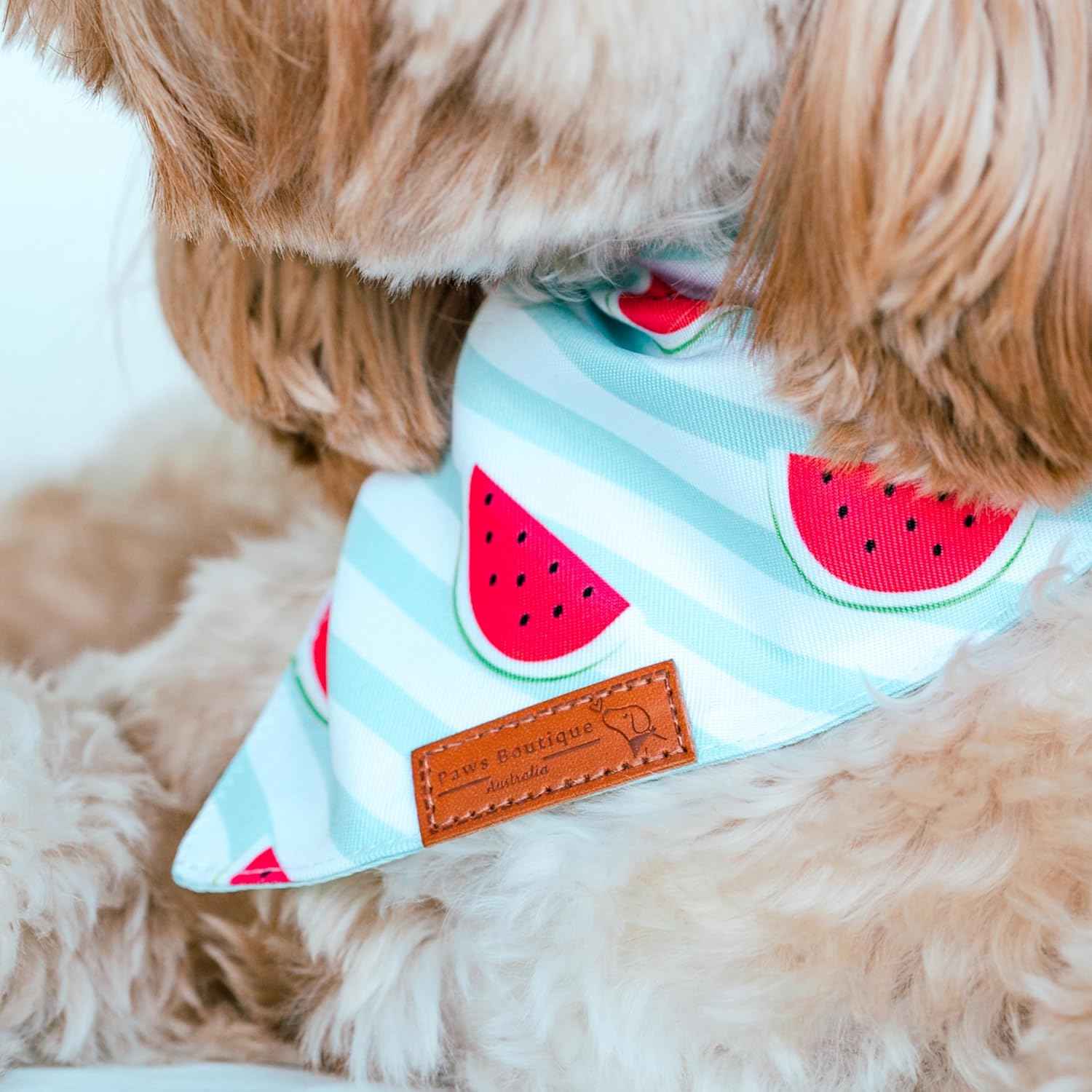 Paws Boutique Premium Dog Bandana/Scarf | Design: Tasty Watermelon Treat | Reversible Dual Layered/Sided | Small, Medium & Large Pets | Unique Style | Accessories for Puppies & Dogs (S) image number 1