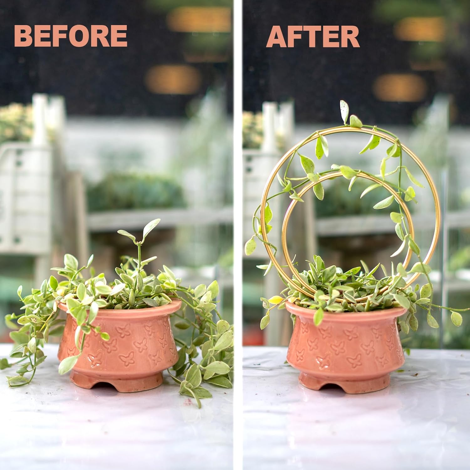 Hoya Trellis- Metal Plant Trellis Indoor 3-Pack for Climbing Plants - Gold Small Garden Trellis for Ivy and Flowers - Unique Patterns - Outdoor Potted Plant Support image number 5