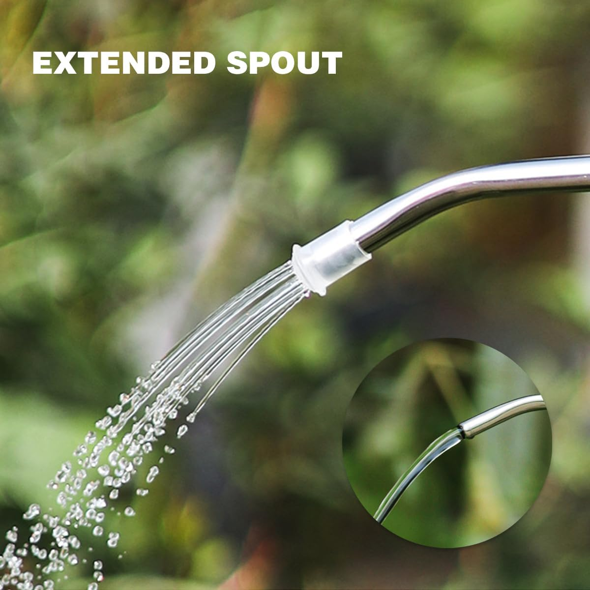 AIMALL 1.5L Long Spout Plastic Watering Can for Indoor Plants, Succulents and Bonsai &ndash; Transparent/Grey/Green, 7.4In Tall Slim Kettle for Garden & Home Use