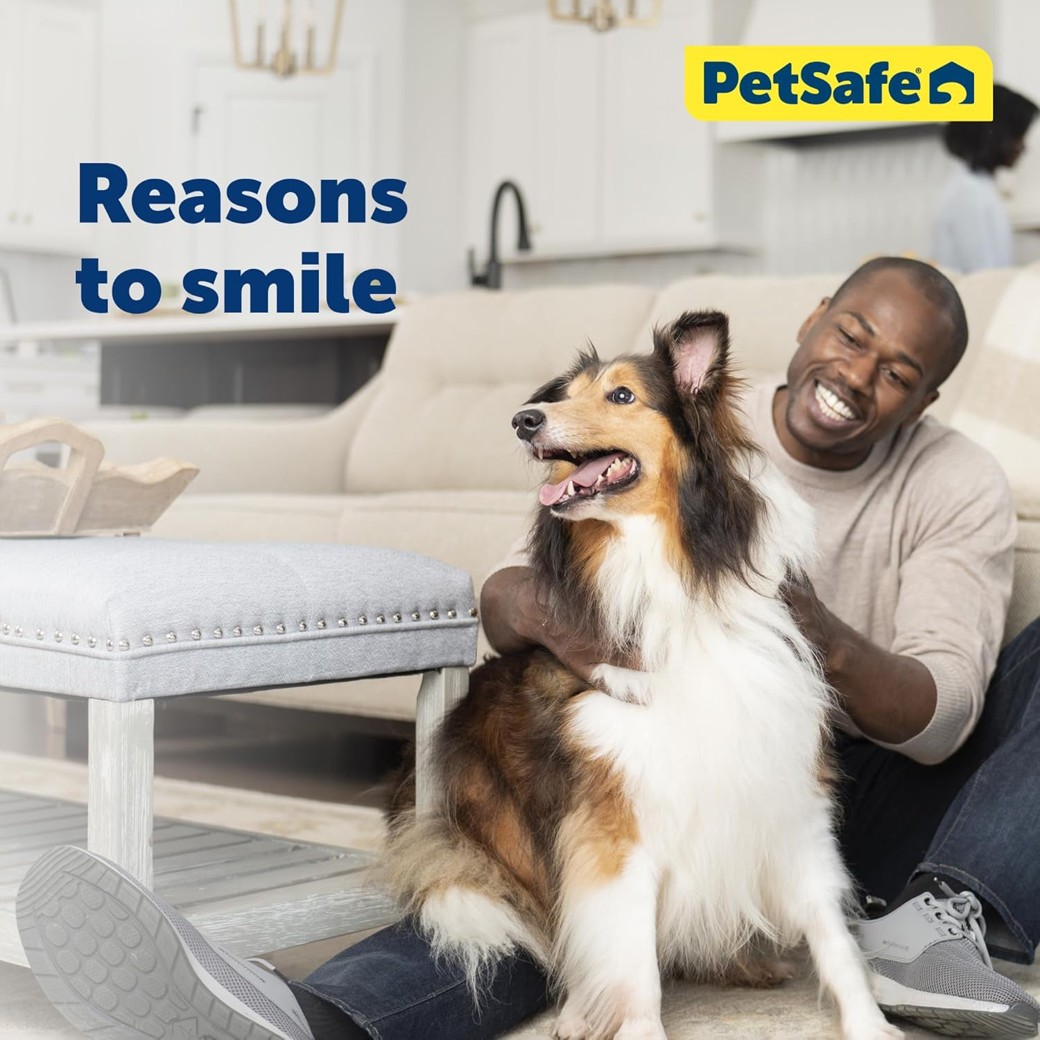 Petsafe Wall Entry Aluminum Pet Door Extension Tunnel - Large