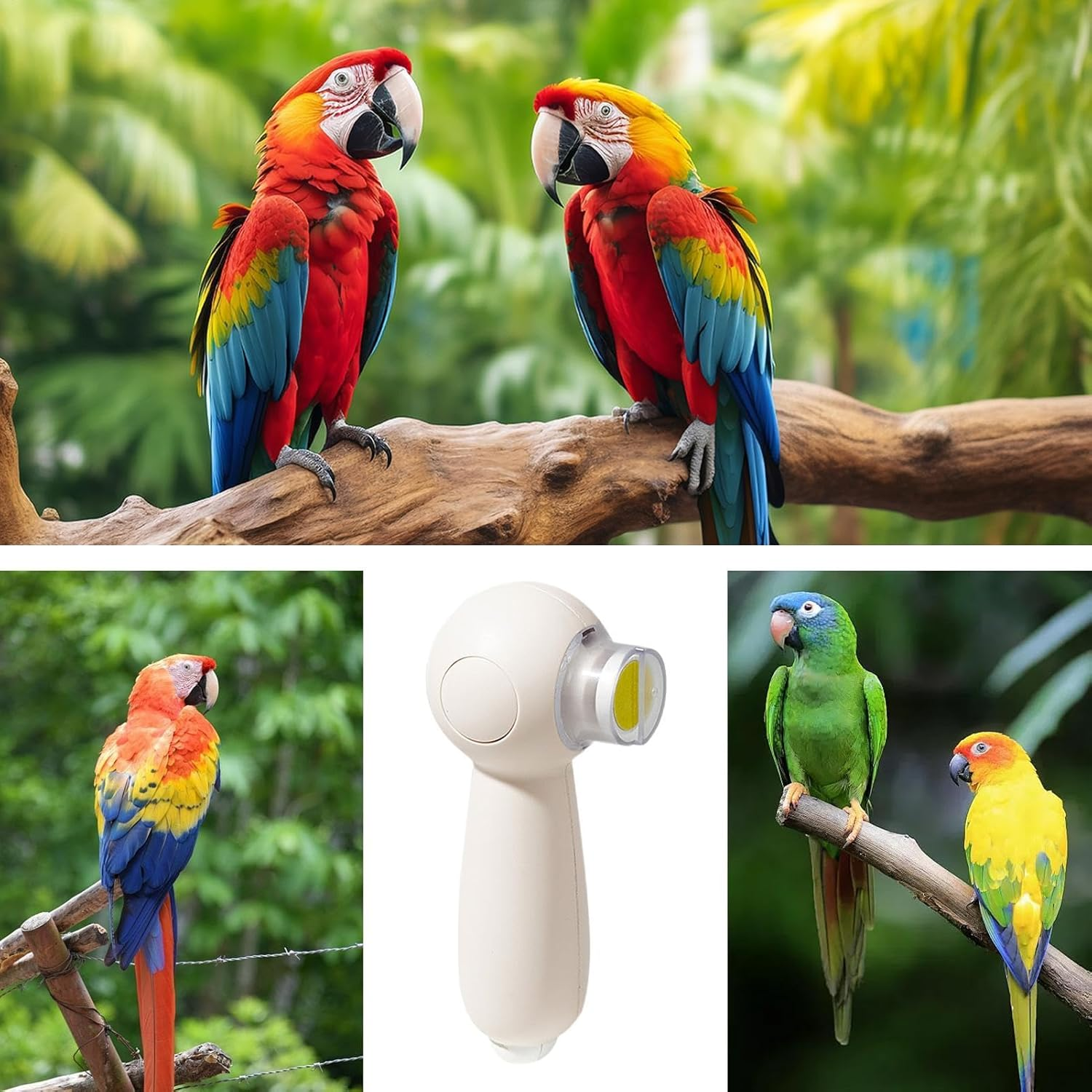 Bird Nail Grinder, Electric Parrot Beak Trimmer, Multi-Purpose Pet Grooming Tool, 6 Grinding Heads for Cockatiels, Hamsters, Small & Rodents and Many More image number 5