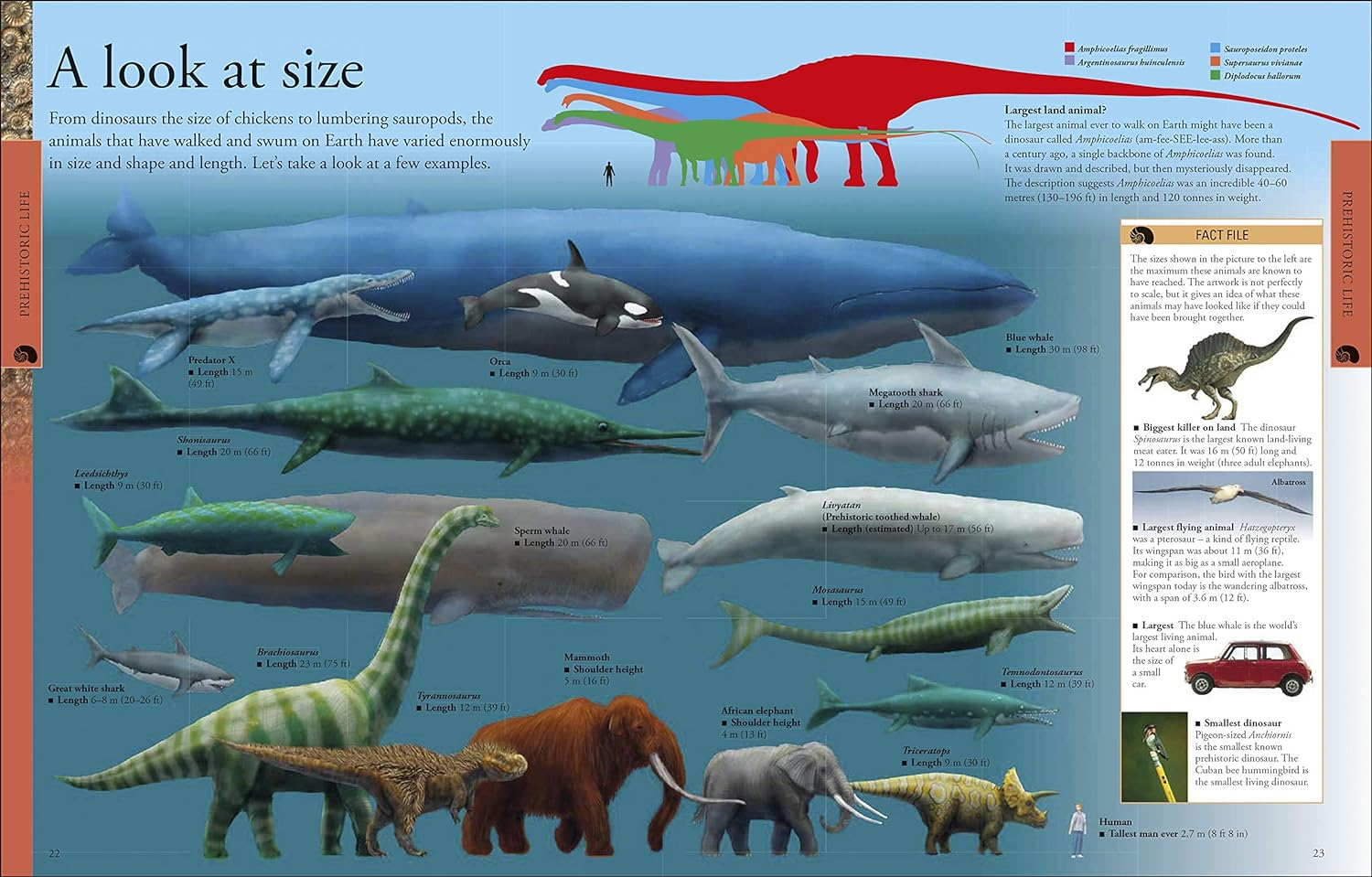 Dinosaurs a Children'S Encyclopedia image number 3