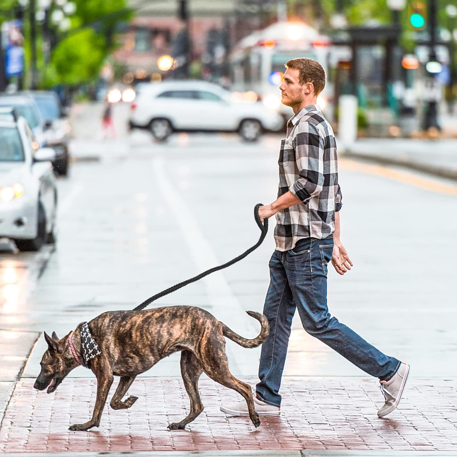 Eight Strand Braided Strong Nylon Dog Leash,1Pc Nylon Eight Strand Braided Lead Dog Leash with Rotating Buckle, Dog Lead Strong Leash Training Lead Rope image number 2