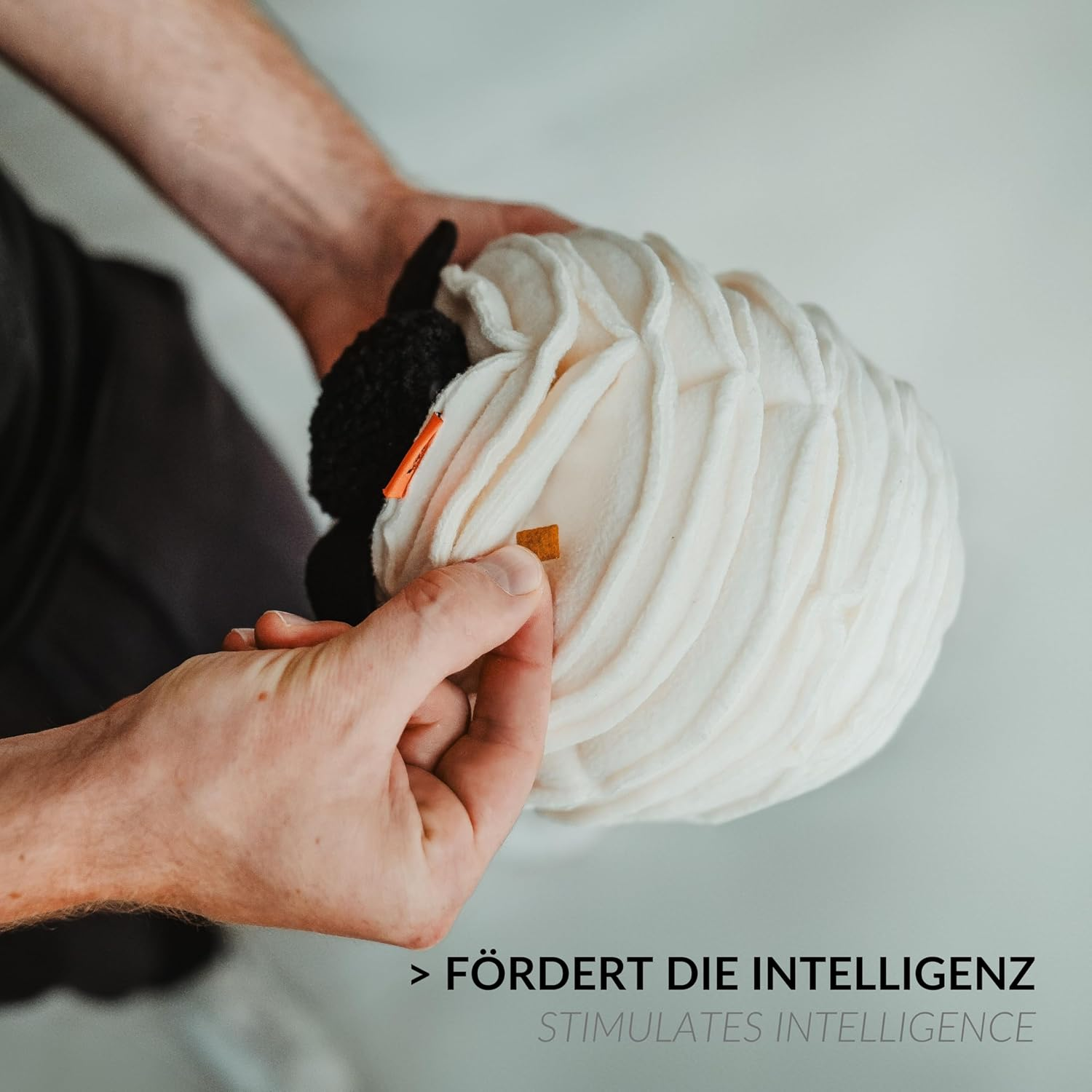 Sniffing Ball for Dogs | Dog Toy Lou the Sheep | Durable Intelligence Toy for Dogs | Sniffing Rug for Dogs in White | Dog Toys and Dog Toy Intelligence 26 X 20 Cm