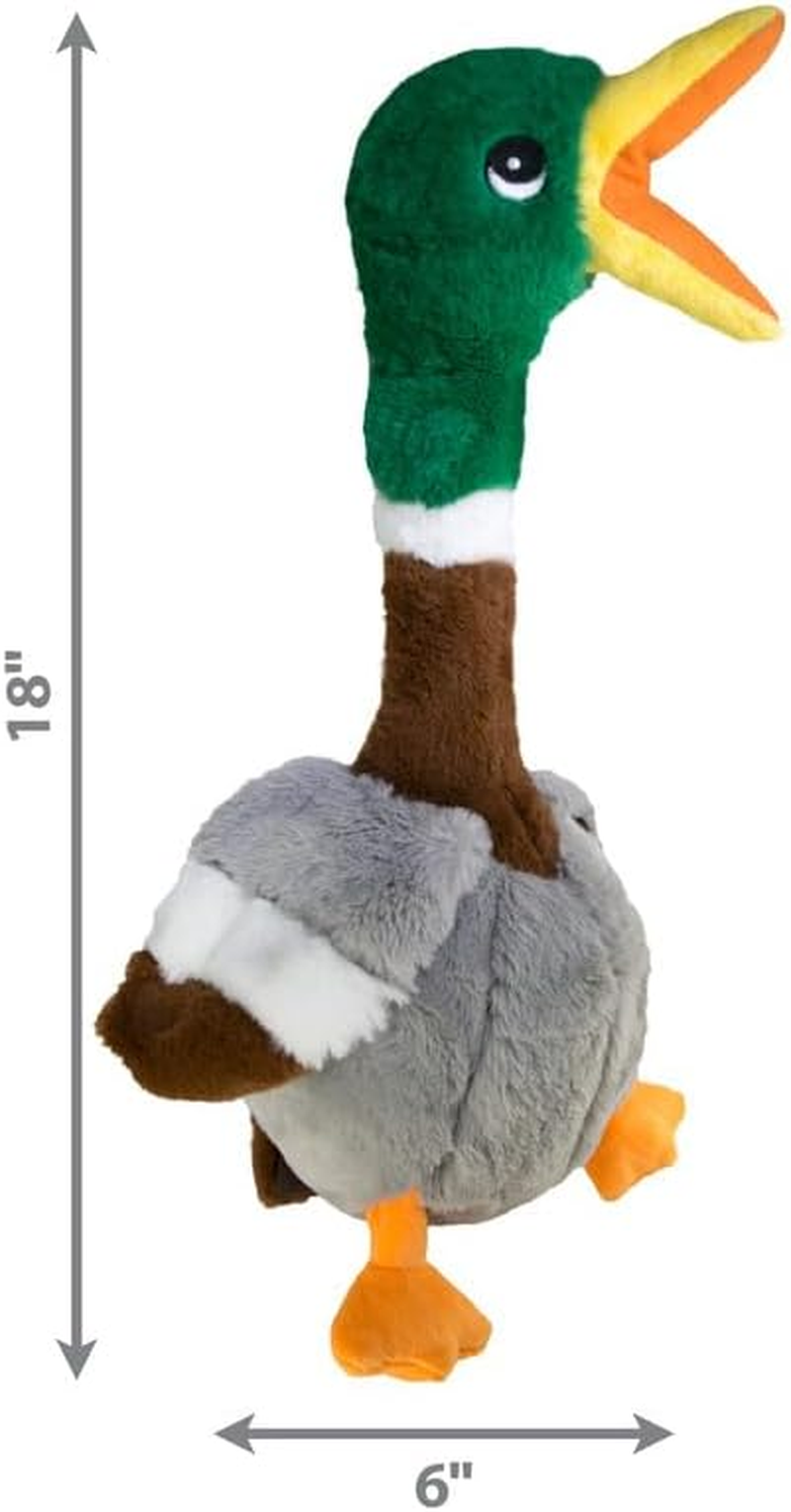 KONG, Multi - Shakers Honkers - 43 Cm - 1 Piece