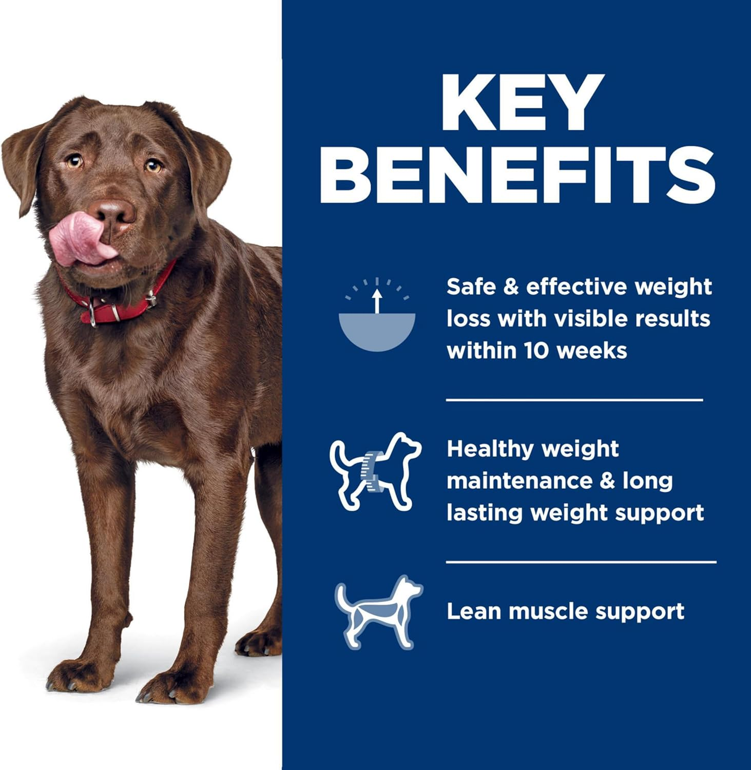 Hill'S Science Diet Adult Perfect Weight Large Breed Chicken Recipe Dry Dog Food 11.34 Kg image number 3