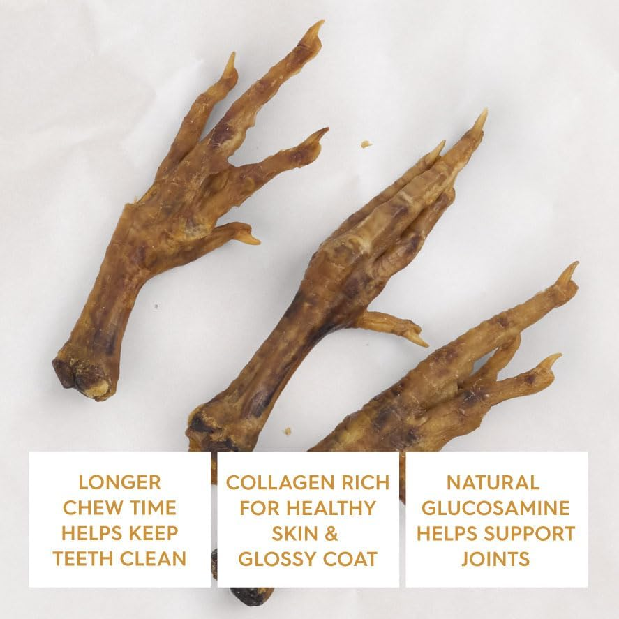 Kazoo Prime Cuts Chicken Feet - 500Gm