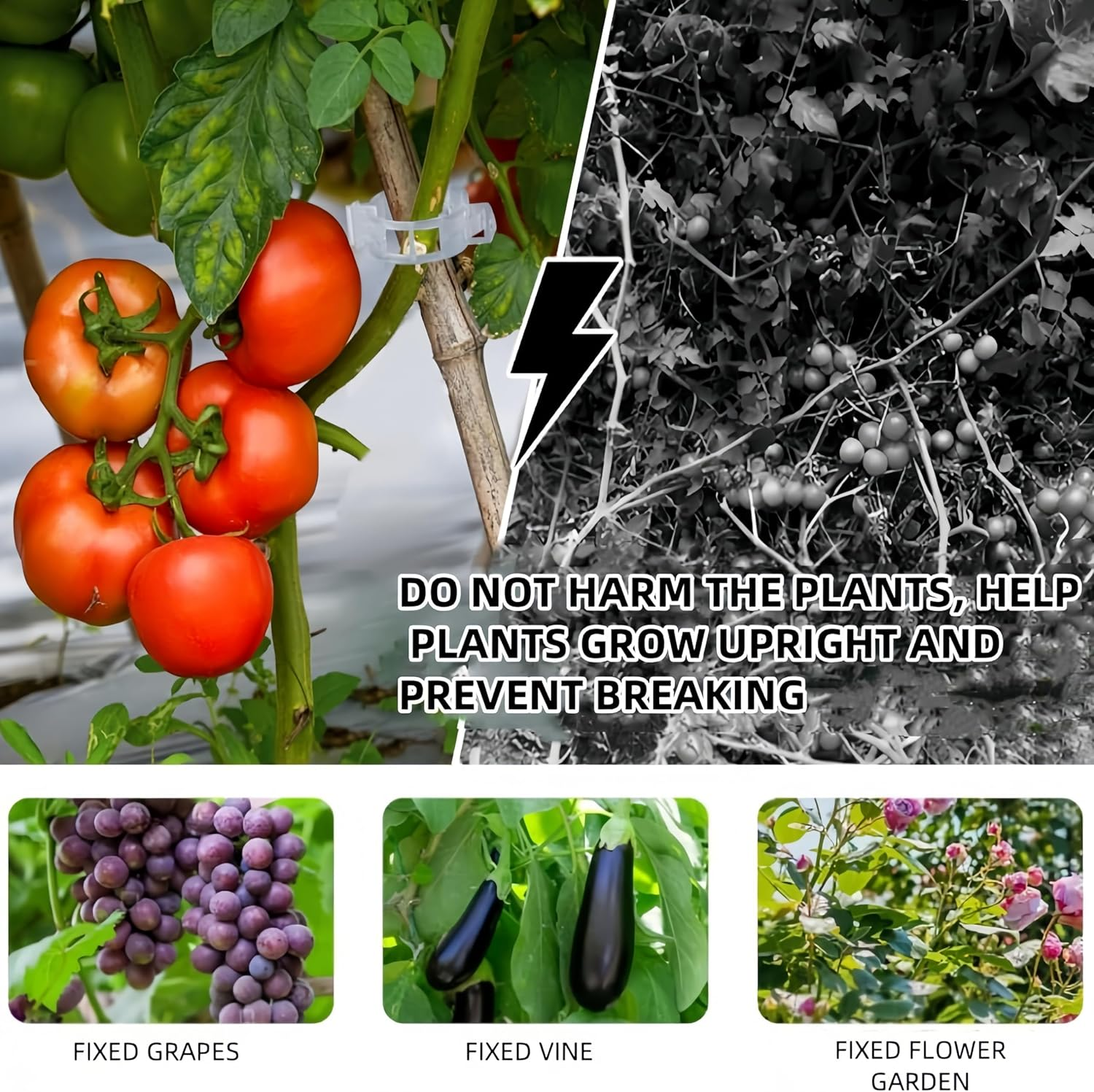 100 Pcs Plastic Plant Clips,Reusable Plastic Trellis Plant Support Clips for Support, Grape and Tomato Vine, Vegetables Plants(White) image number 5