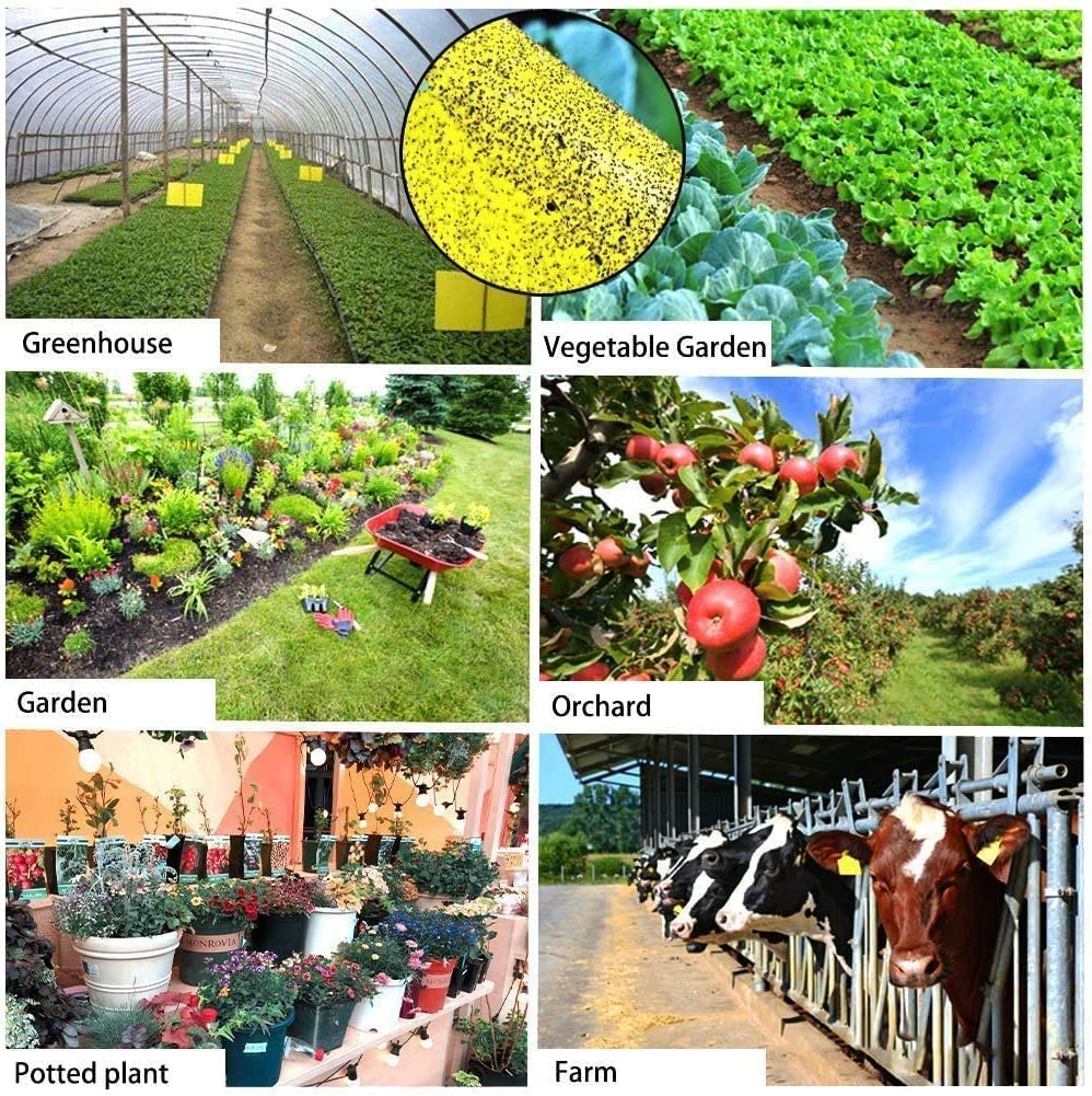 20 Pack Dual-Sided Yellow Sticky Traps for Capturing Flying Plant Insects like Fungus Gnats, Flying Aphid, Whiteflies, Leaf Miners, Other Flying Plant Insects image number 2