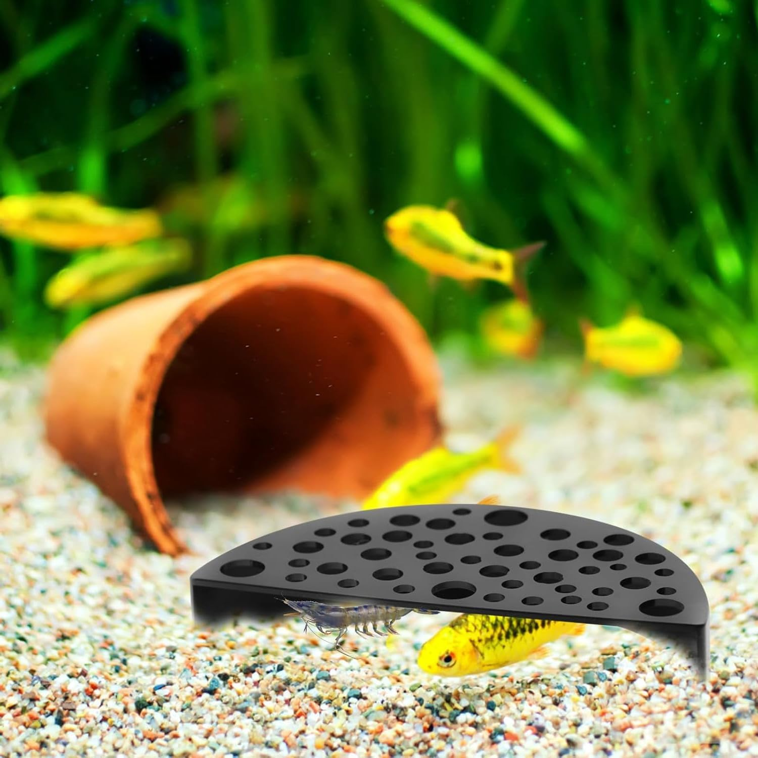 2Pcs Black Shrimp Cave Ornaments, Good Size Half Moon Shrimp House Decor, Fish Hiding Tools Supplies, Accessories Decor Supplies Can Be Used in Aquariums