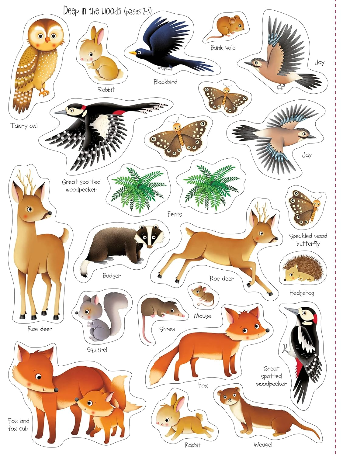 First Sticker Book Nature image number 3