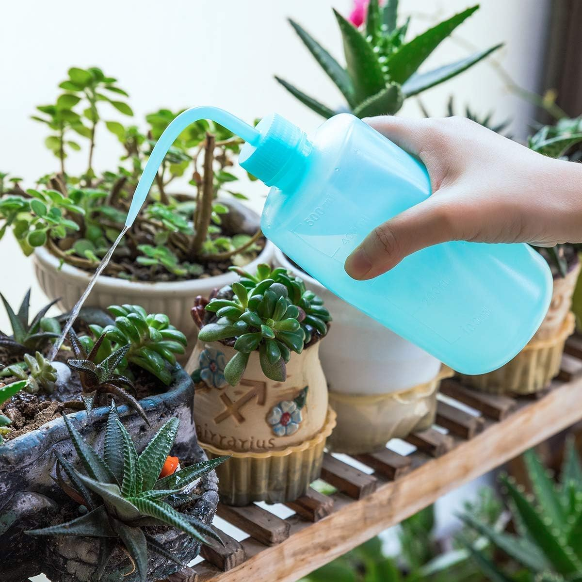 Squeeze Bottle Plant Watering Bottle 500Ml Wash Bottle Squeeze Plastic Small Watering Can for Indoor Plants Succulent Watering Can 2 Pcs (Pink+Blue) image number 4