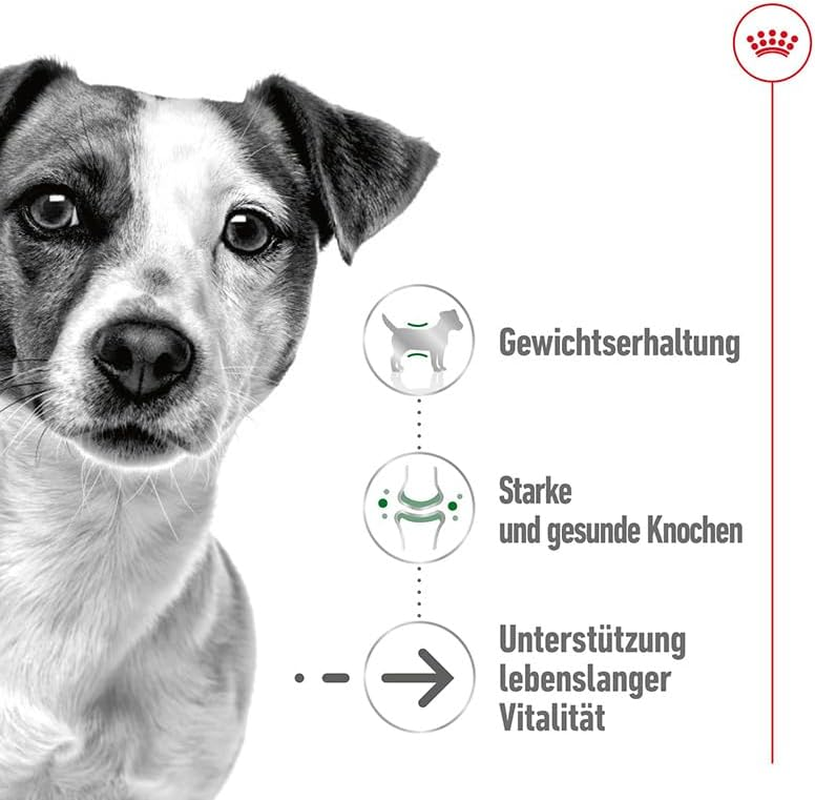 Royal Canin Canine Mini Ageing +12 Wet Dog Food 12X85G image number 4