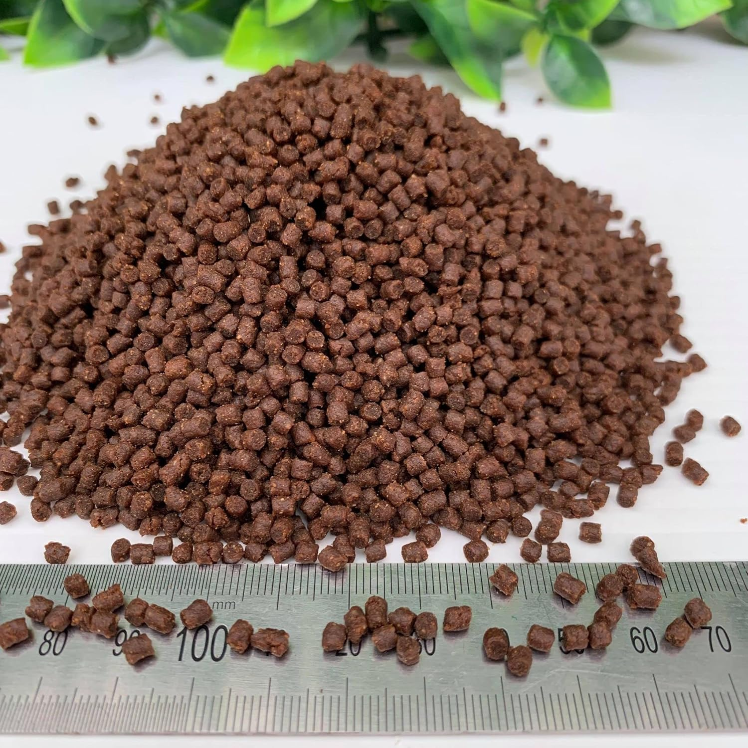 High Protein Grower 3Mm Medium Tropical Sinking Fish Food Pellets 1Kg image number 3