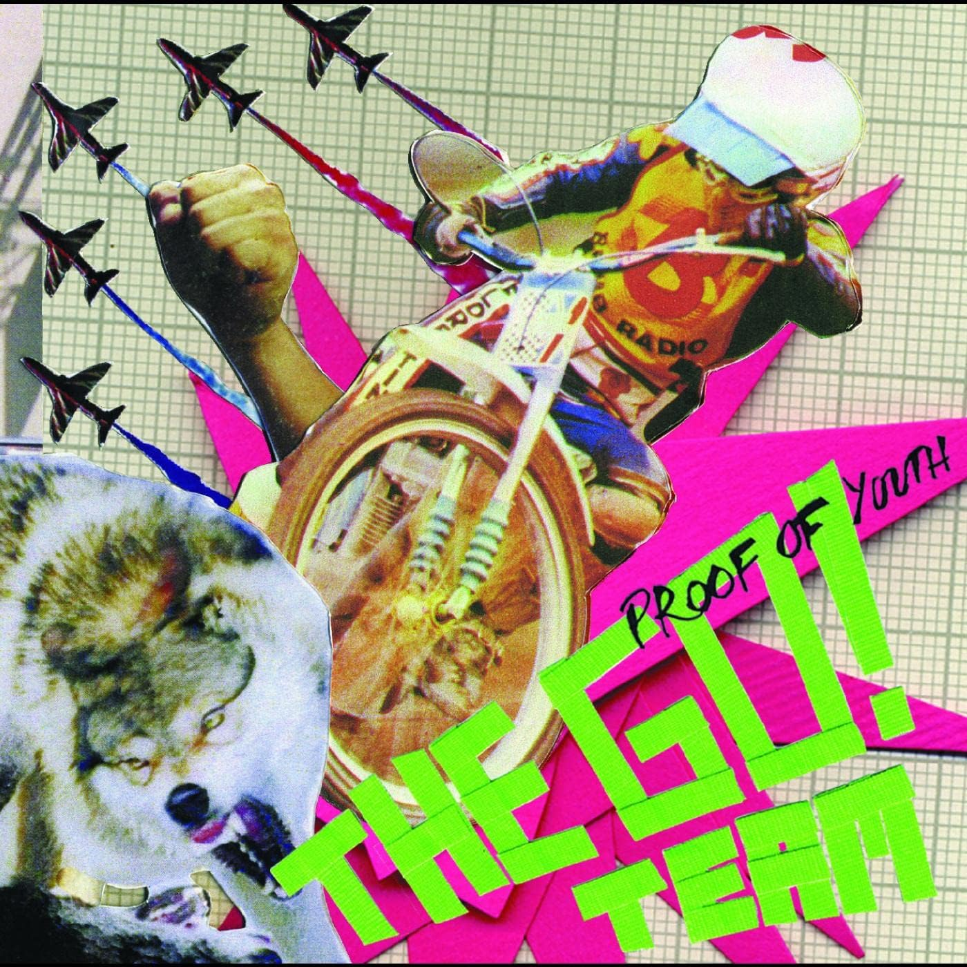 Proof of Youth image number 1