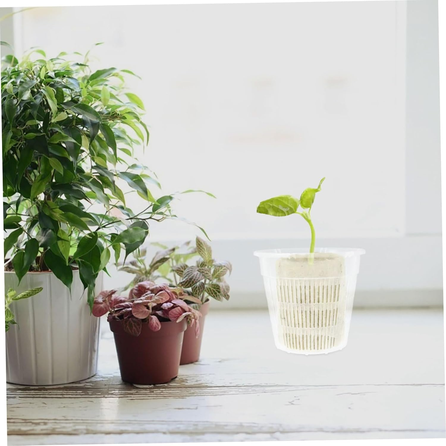 Parliky 4Pcs Hydroponic Vegetable Planting Baskets Outdoor Indoor Garden Supplies Aquarium Planting Baskets Soil Growing image number 5