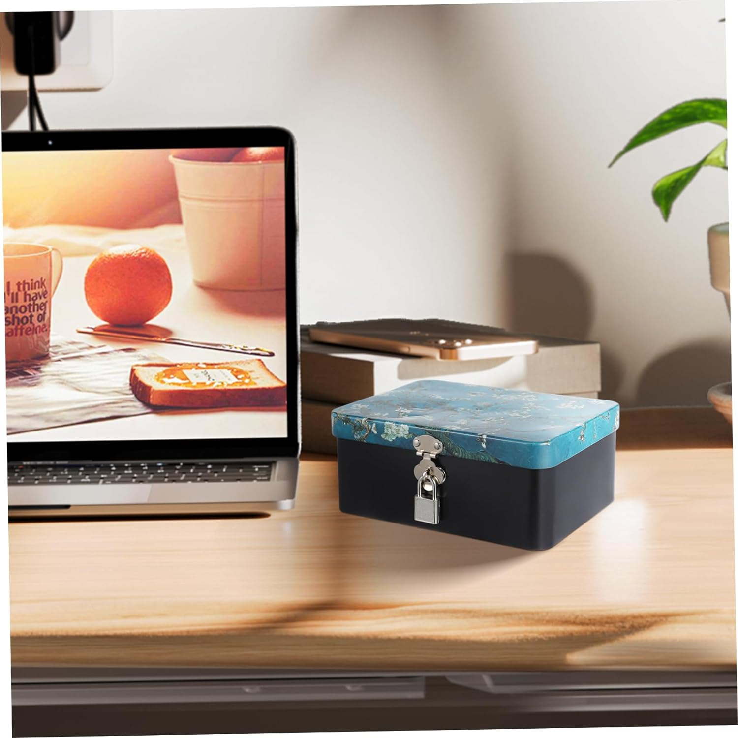 Lockable Storage Box Outdoor Key Lock Tinplate Box Capacity Jewelry Organiser