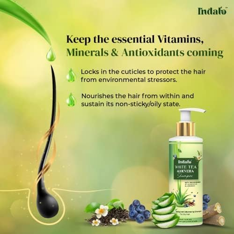 Indalo White Tea Aloevera Strengthening and Volumizing Shampoo, 200Ml, with Licorice and Blue Berries for Oily Hair, Paraben Free, Sulphate Free, for Men and Women image number 3
